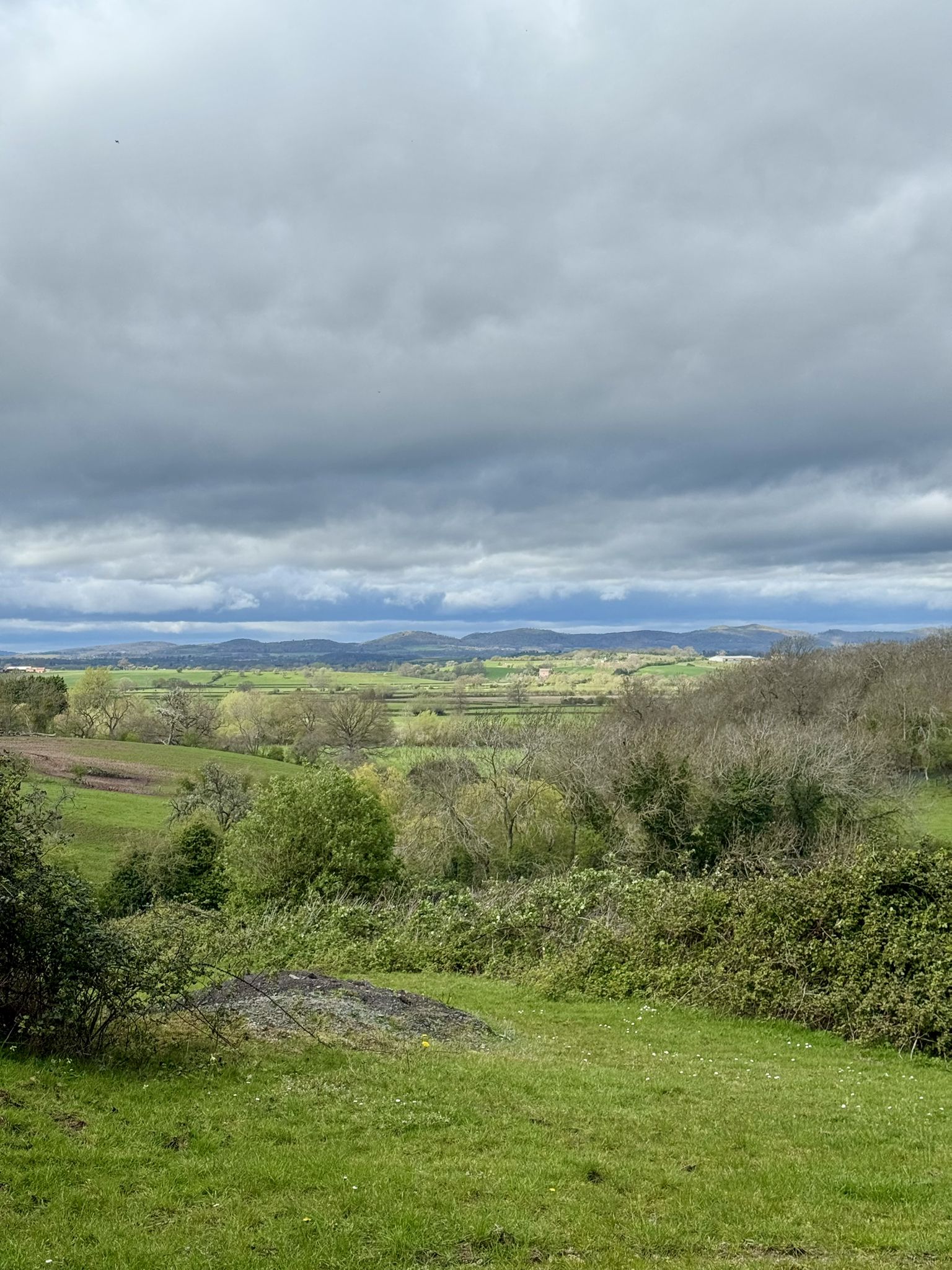 The Malvern Hills in the distance