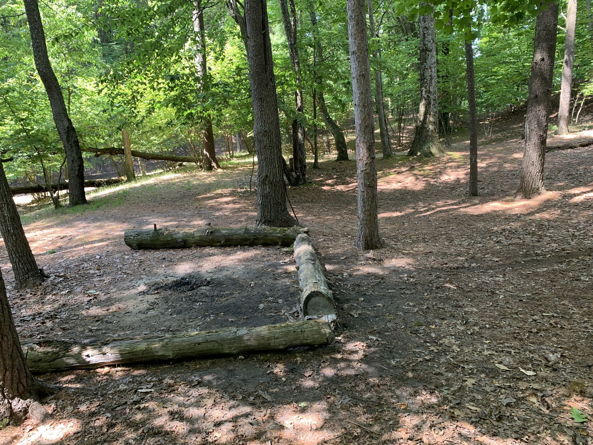 Rustic campsite with log seating around a fire pit in a sunny forest. - Nordhouse Lake – Lake Michigan shoreline loop from Nordhouse Dunes Wilderness