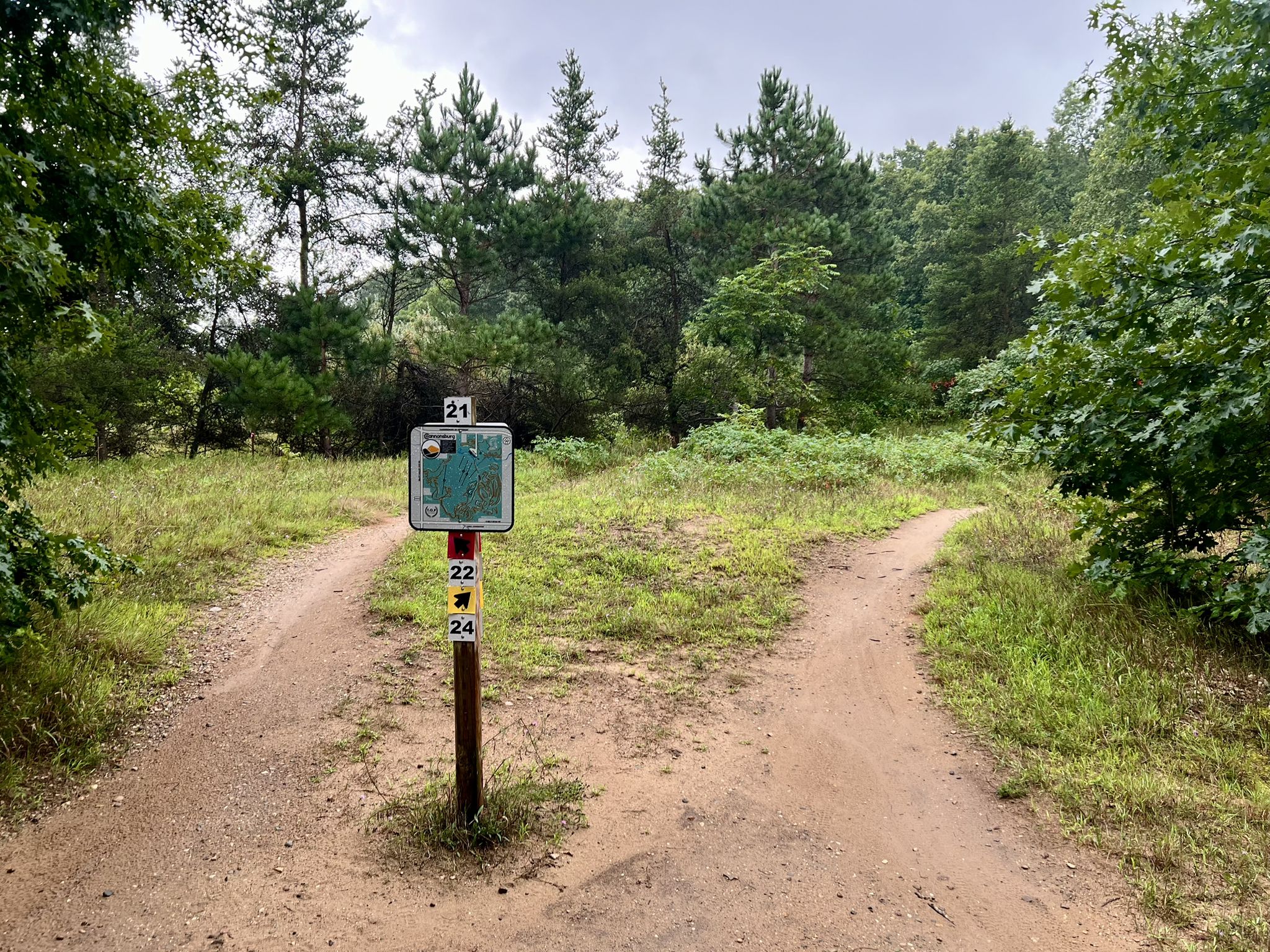 A dirt path forks in a green forest with a trail marker sign. - Cannonsburg East Loop