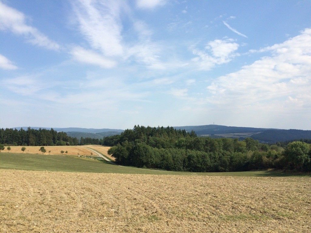 Blick auf die Hohe Wurzel 