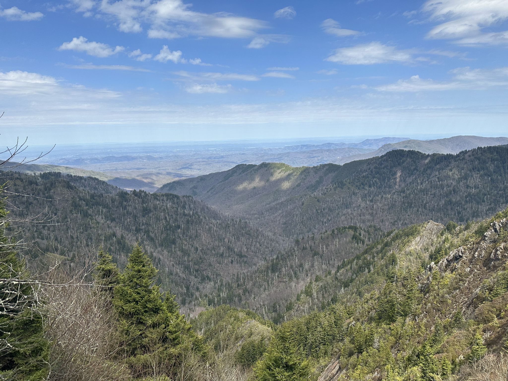 Expansive mountain range covered in green forests under a clear blue sky. - Charlies Bunion via Kephart Prong Loop