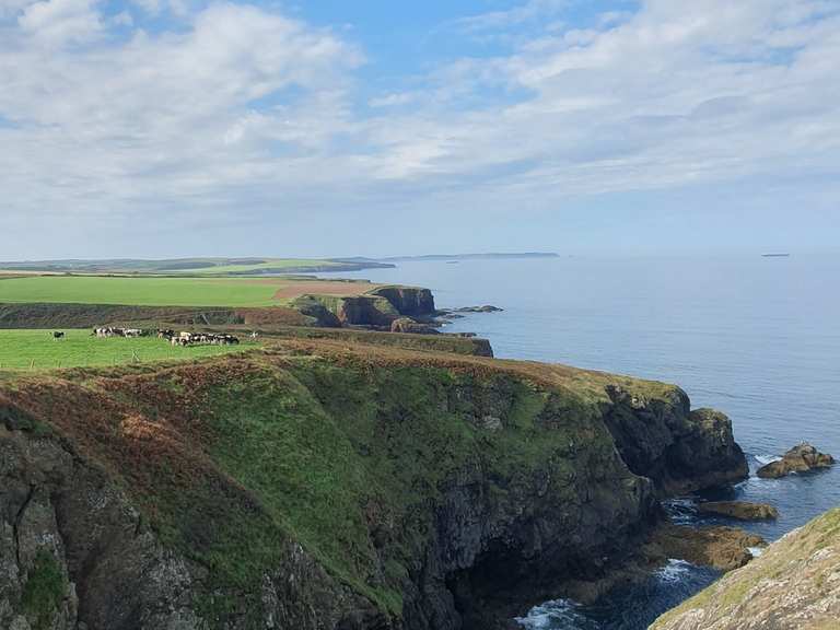 Day 5 - From Millhaven Camping Site to Nolton | Wanderung | Komoot