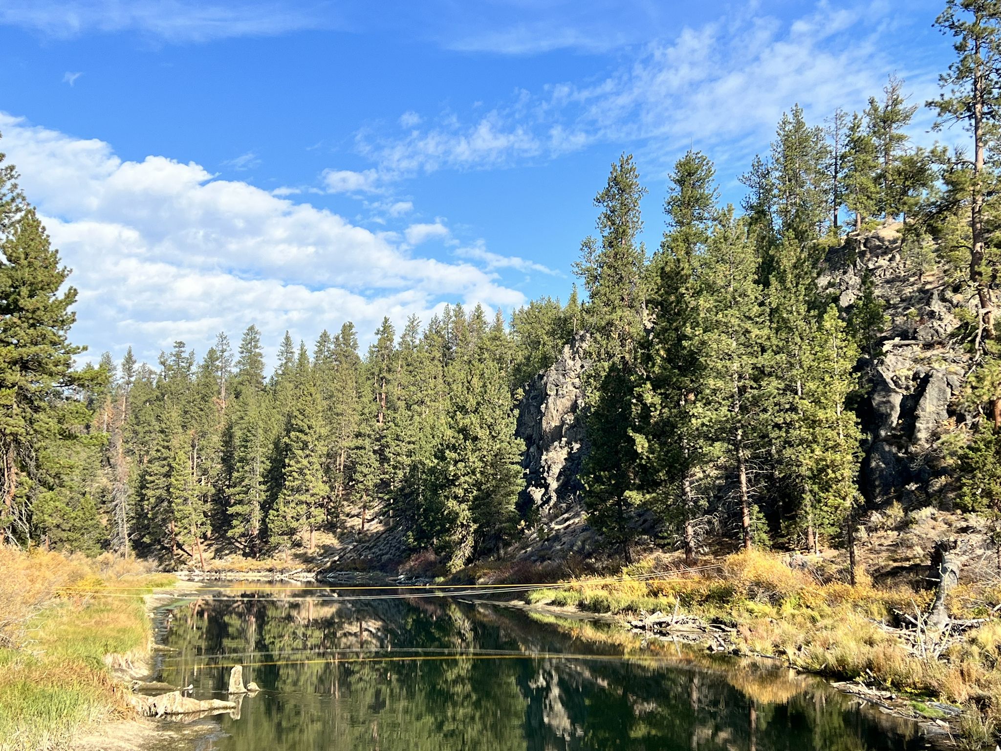 Calm river reflects blue sky and clouds, surrounded by pine forests. - Trail of the Molten Land – Deschutes River Bridge loop from Lava Butte