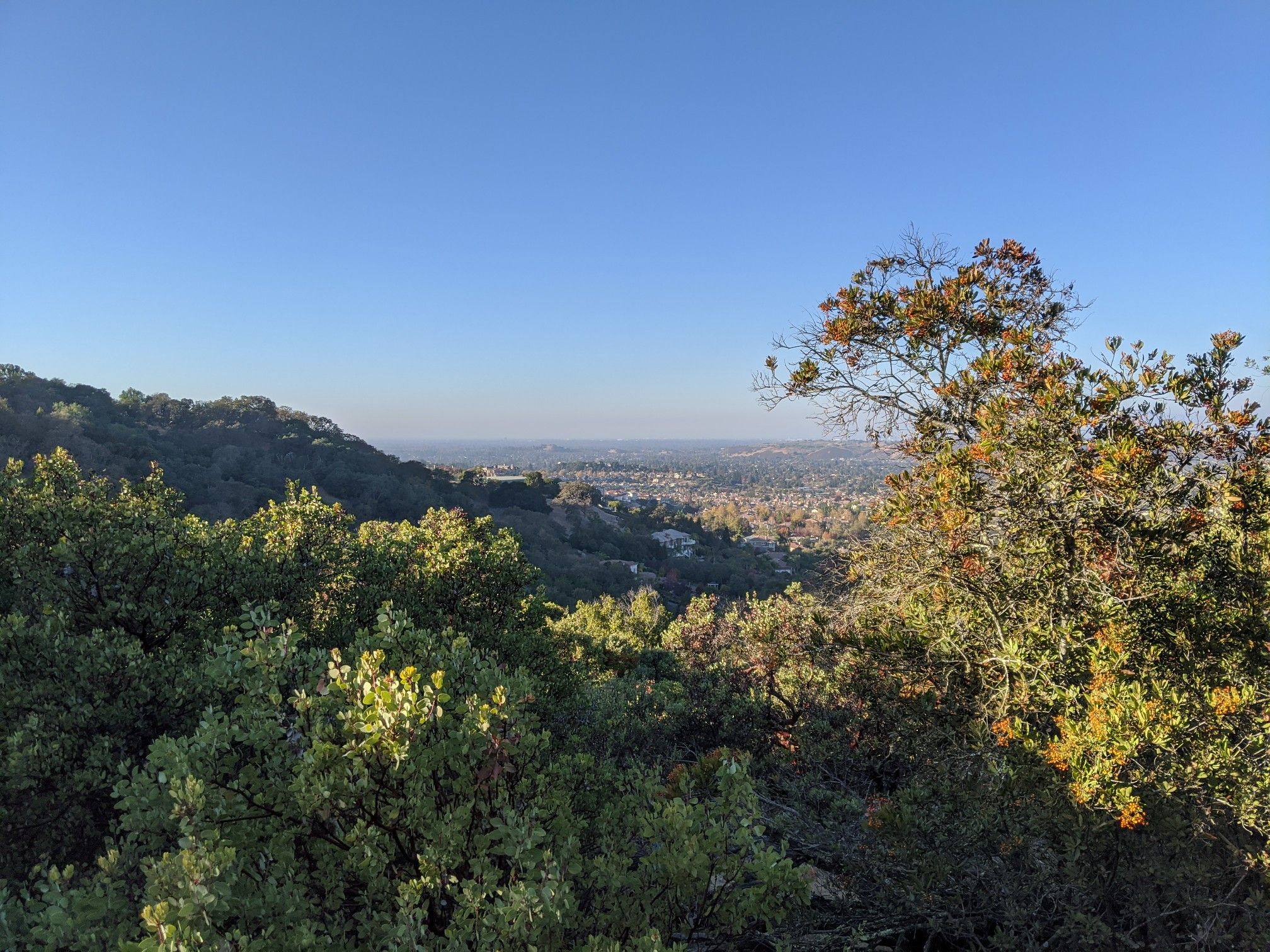 Golden hour view of a city in a valley, framed by green trees. - Hacienda, Randol, and Buena Vista Trail Loop