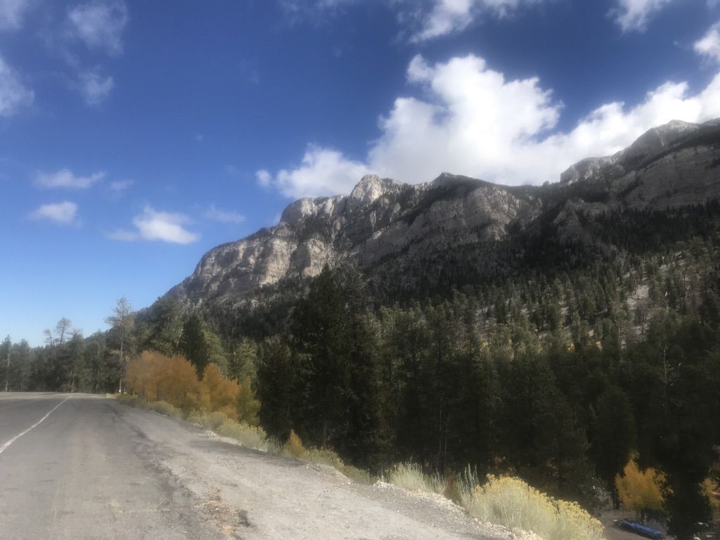 Paved road alongside a rocky mountain covered with evergreen and yellow trees under a blue sky. - McFarland Peak