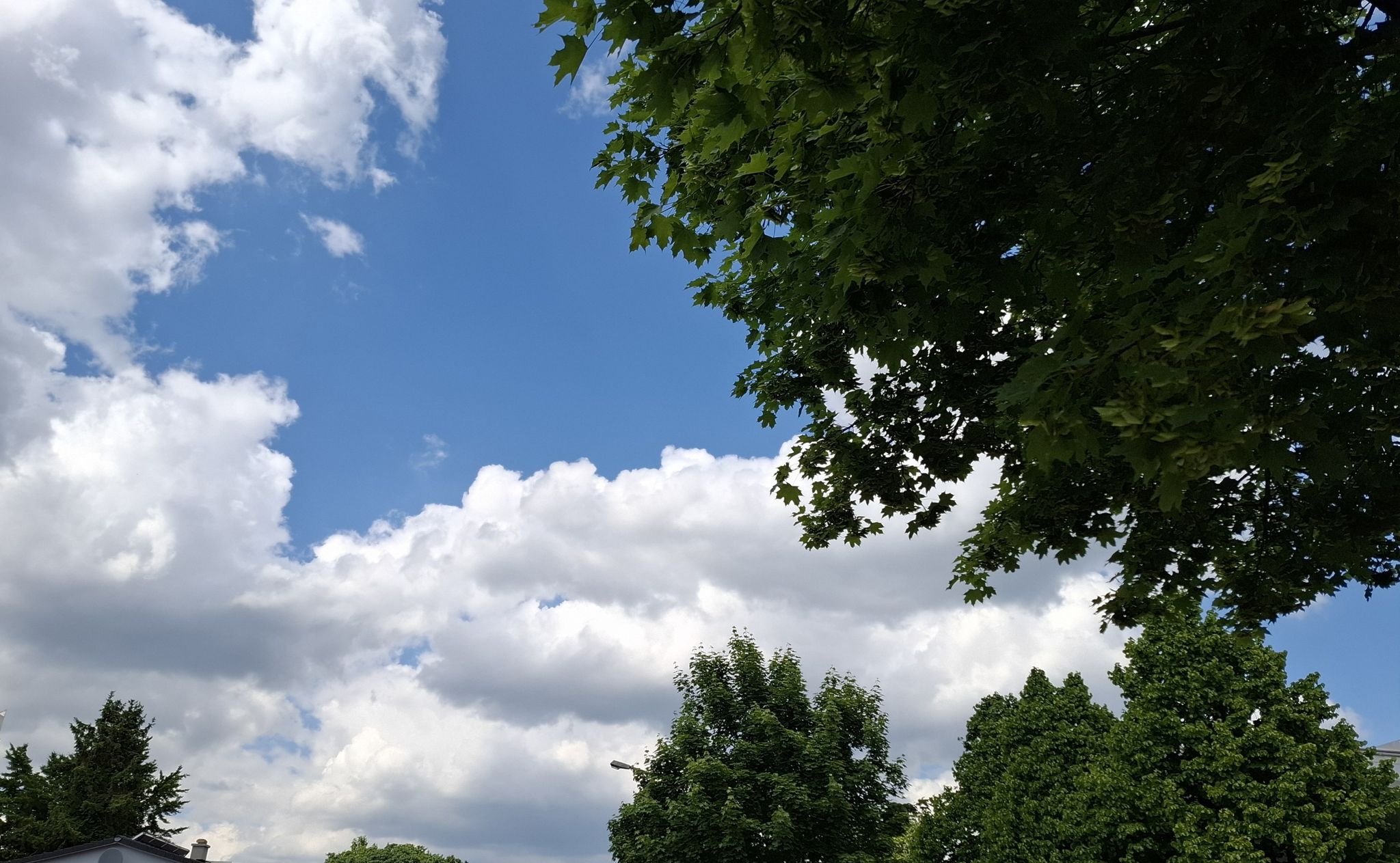 Viel Wind - viele Wolken