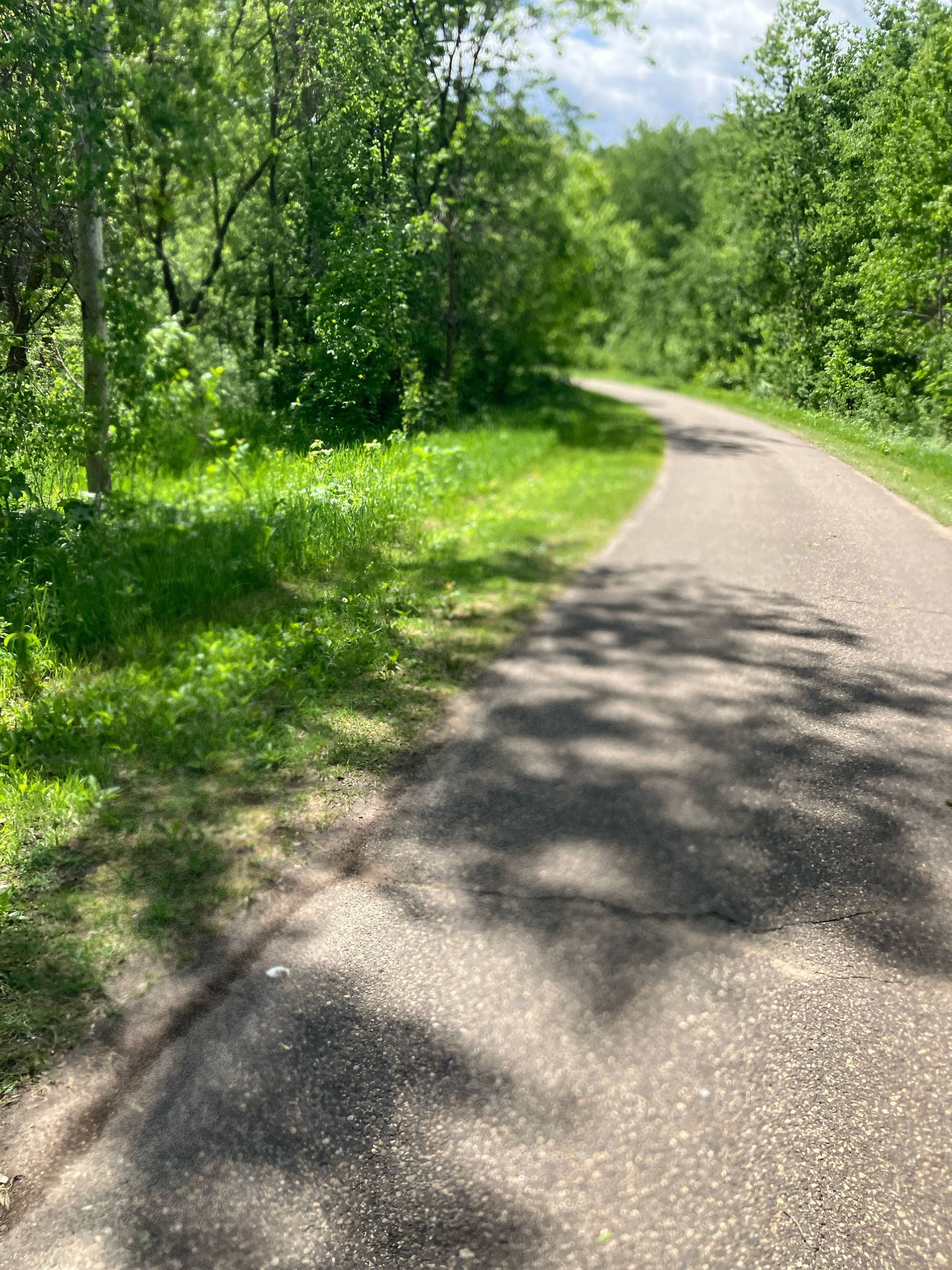 Paved winding path through a lush green forest, dappled sunlight. - Sunken Lakeside Singletrack loop from Lino Lakes