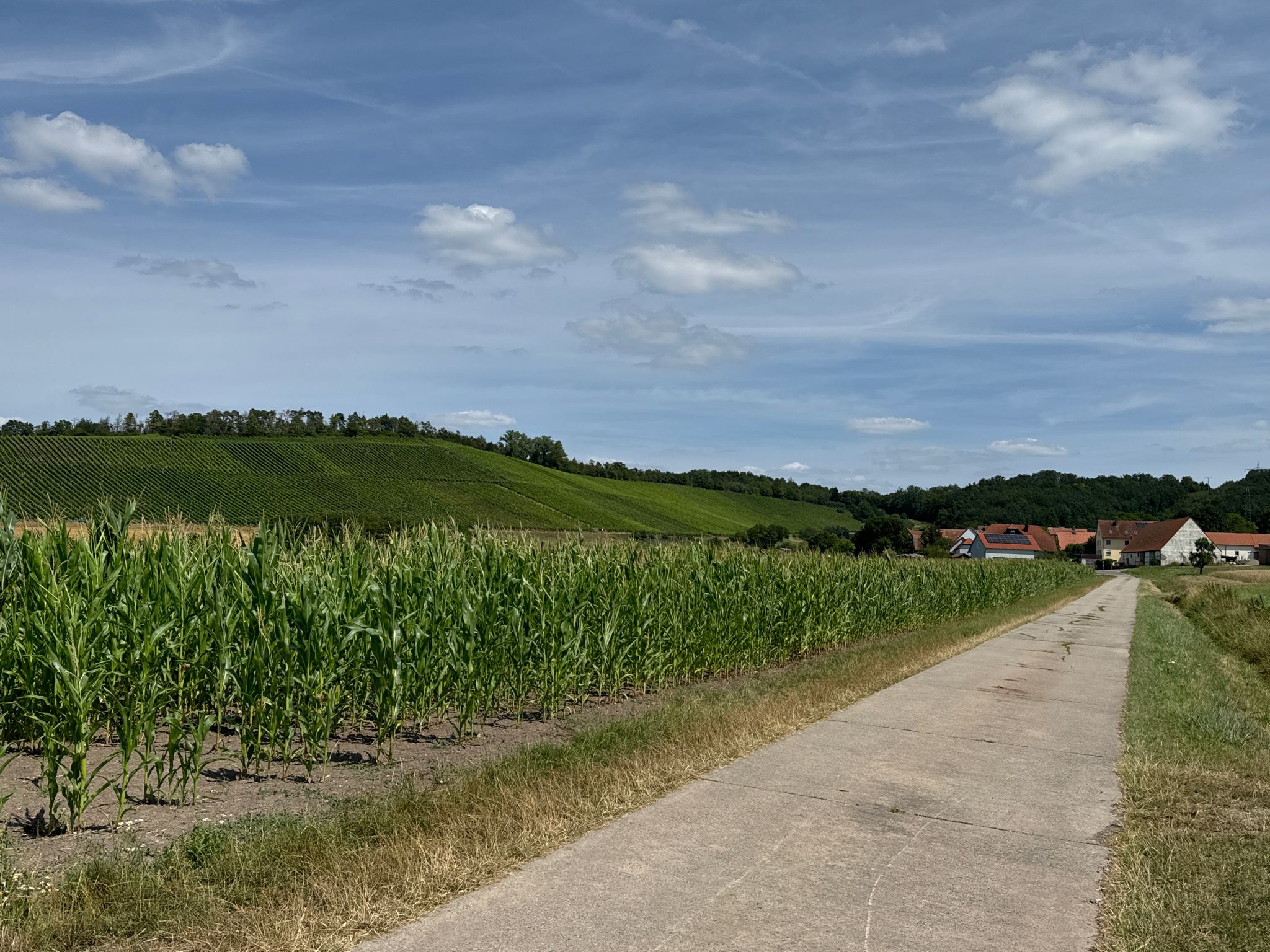 Radweg nach Mailheim