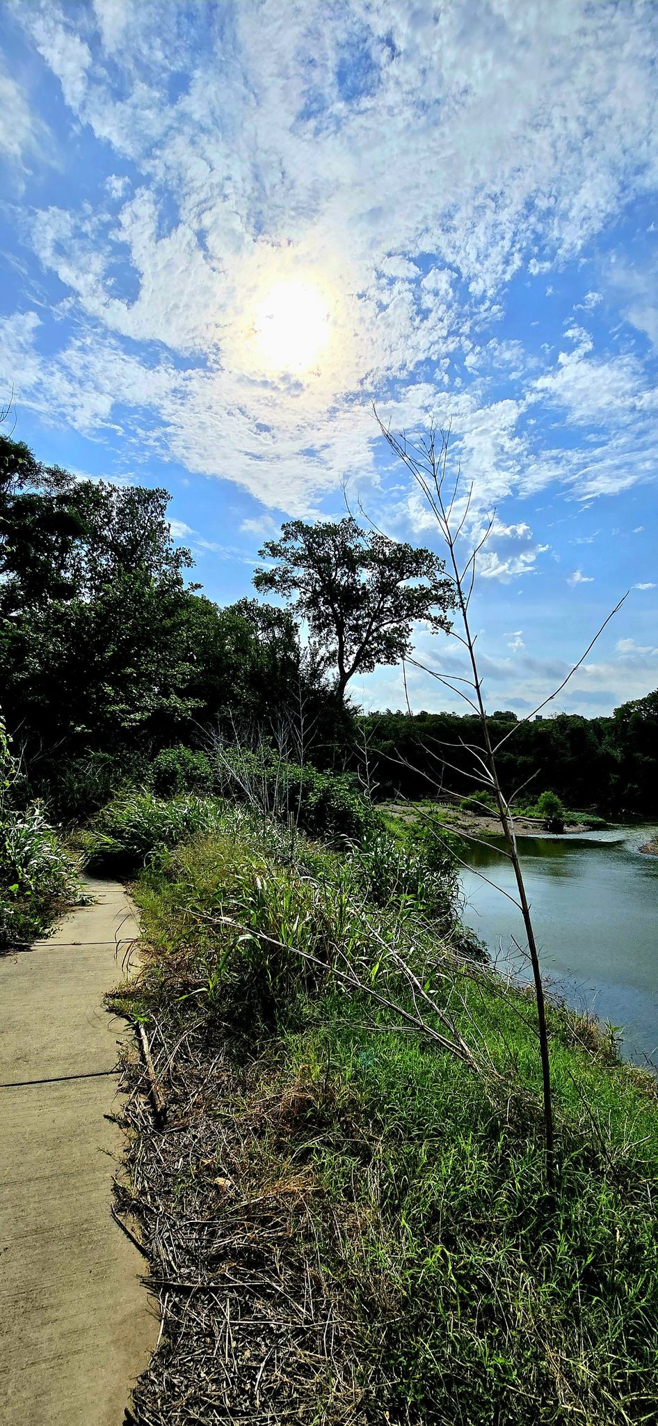 A paved path alongside a river under a bright, partly cloudy sky. - Gateway Park loop via Trinity Trail