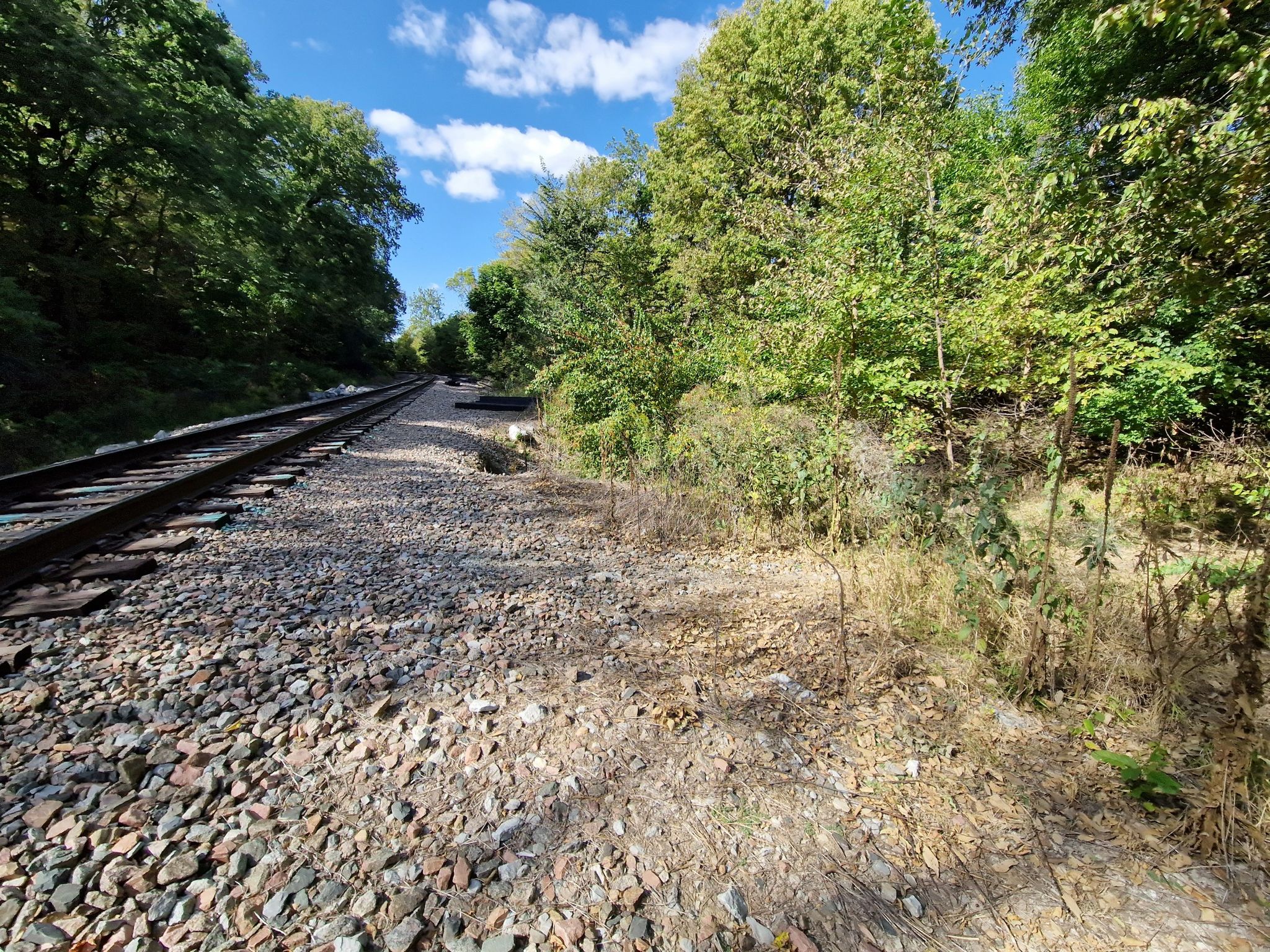 Railroad tracks run alongside a sunlit, green wooded area under blue sky. - Hackberry, Hawthorn, Oak, Cottonwood and Chickadee Trail