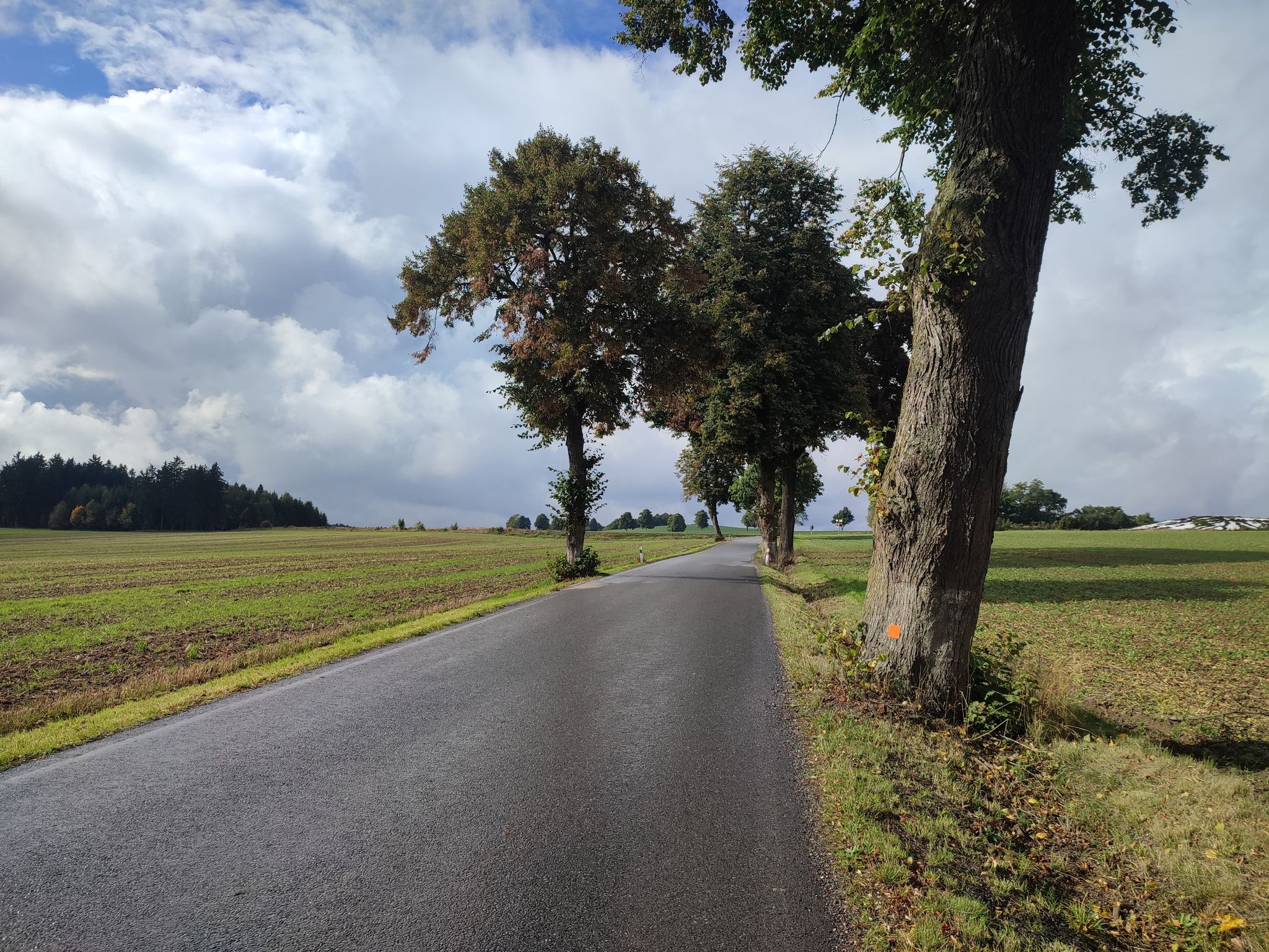 nach dem Regen ist vor dem Regen 🤔