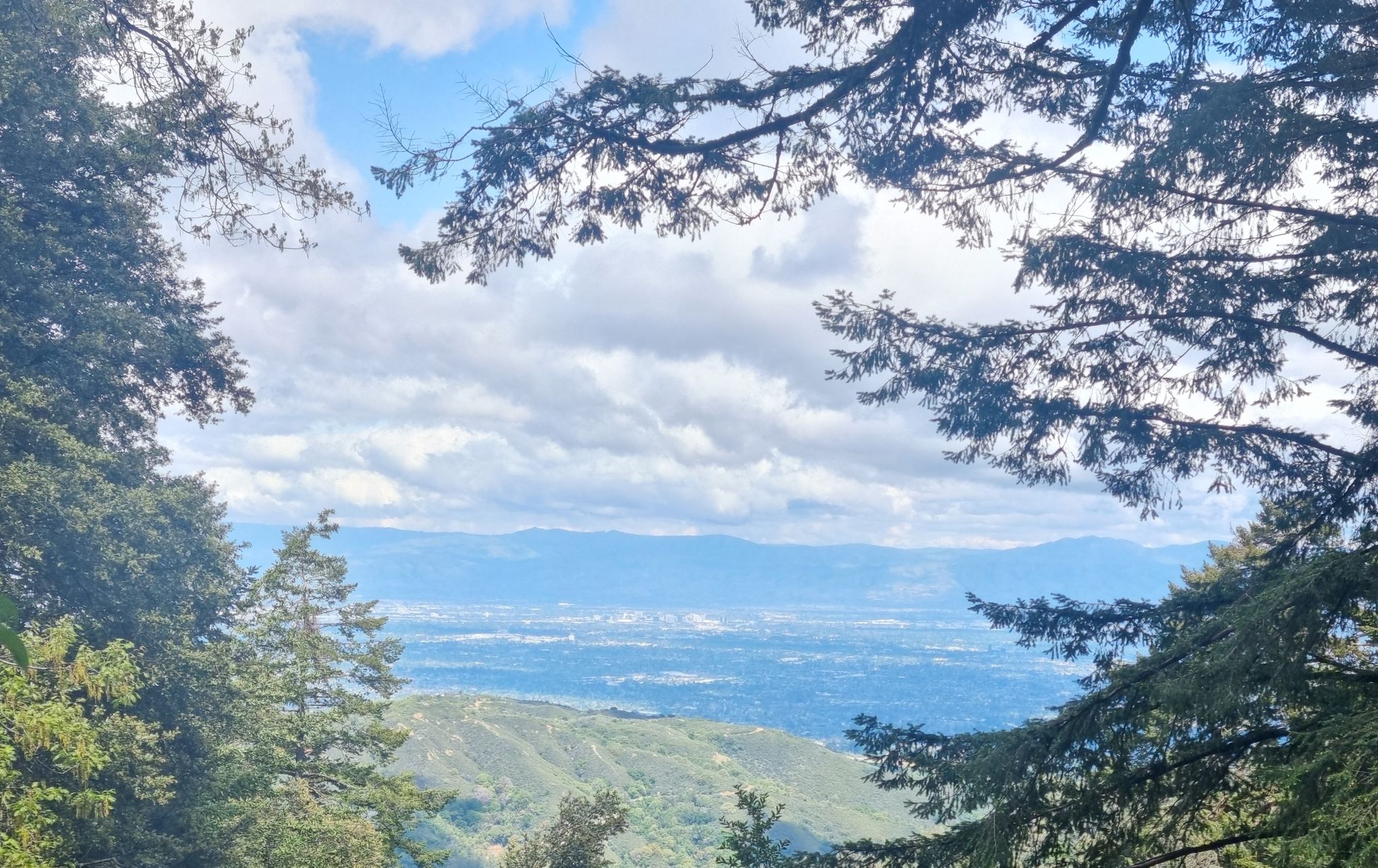 Distant city and mountains viewed through green tree branches under a cloudy sky. - Bay Area Ridge Trail: Sanborn to Saratoga Gap