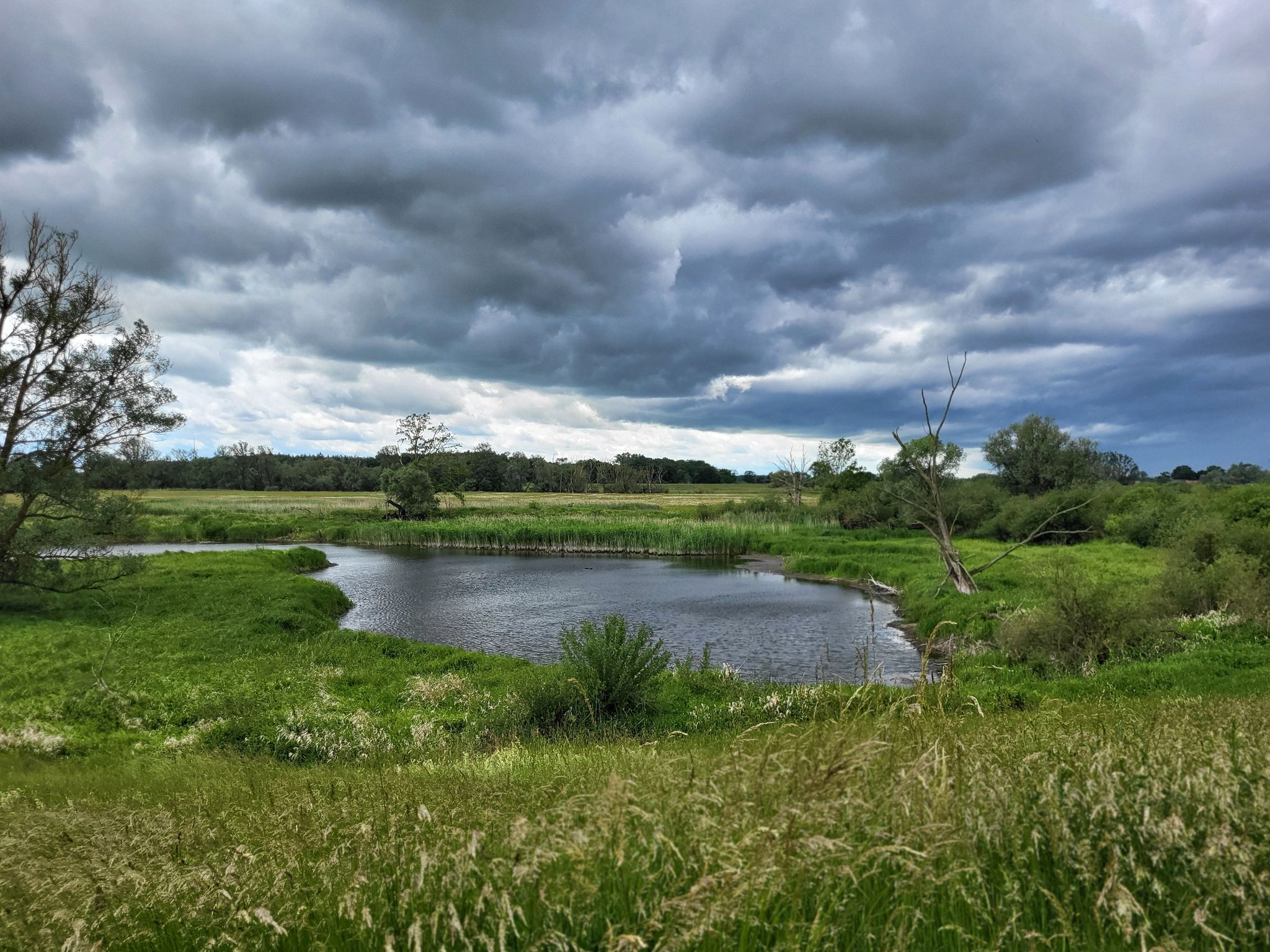 Aland Niederungen