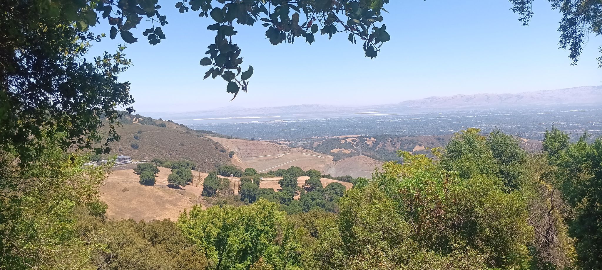 Green trees frame a sunny panoramic view of rolling hills and a distant valley. - Montebello Road loop from Picchetti Ranch Open Space Preserve