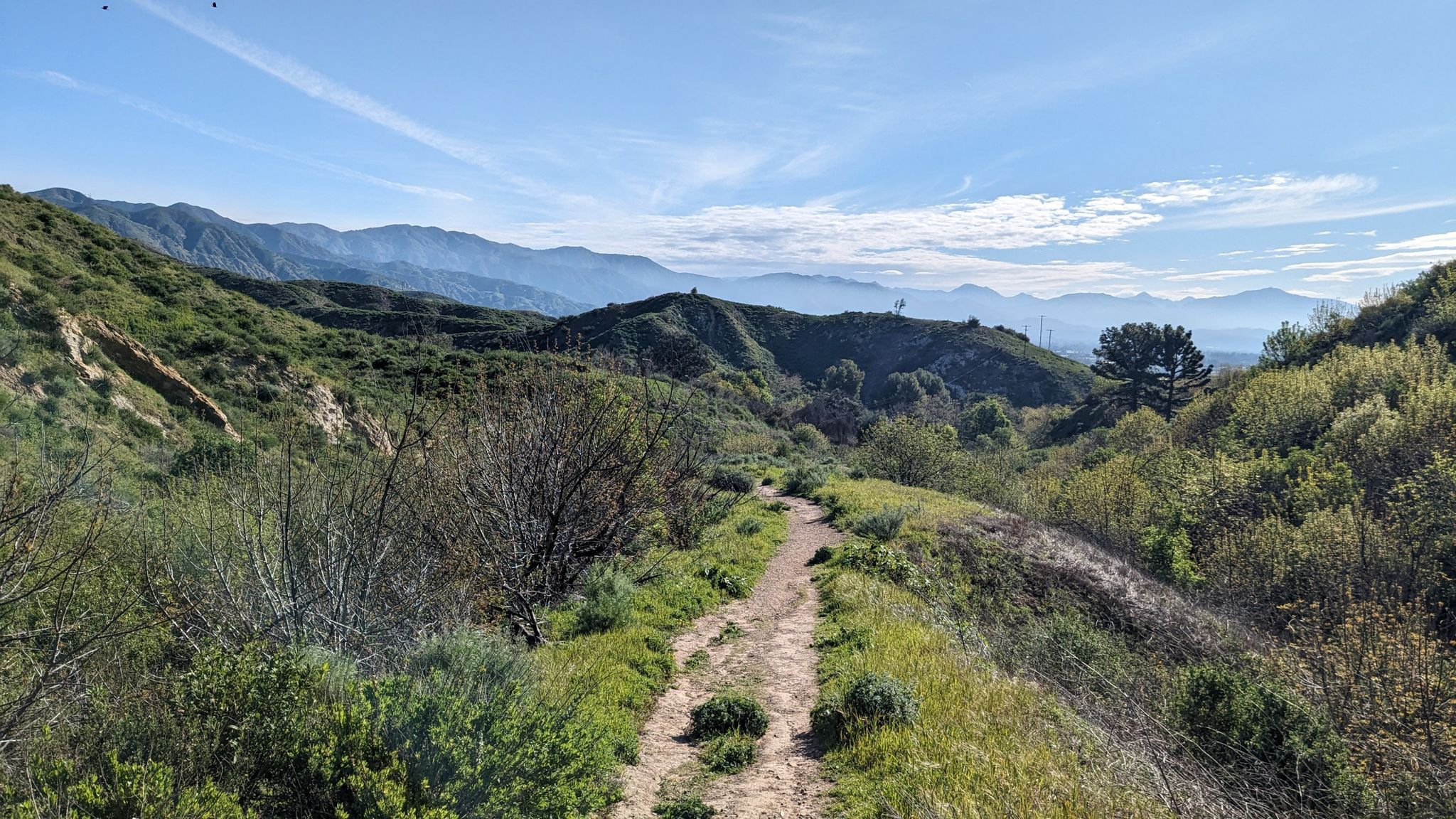 A dirt trail winding through green hills and valleys under a partly cloudy sky. - O'Melveny Park and Mission Point Loop