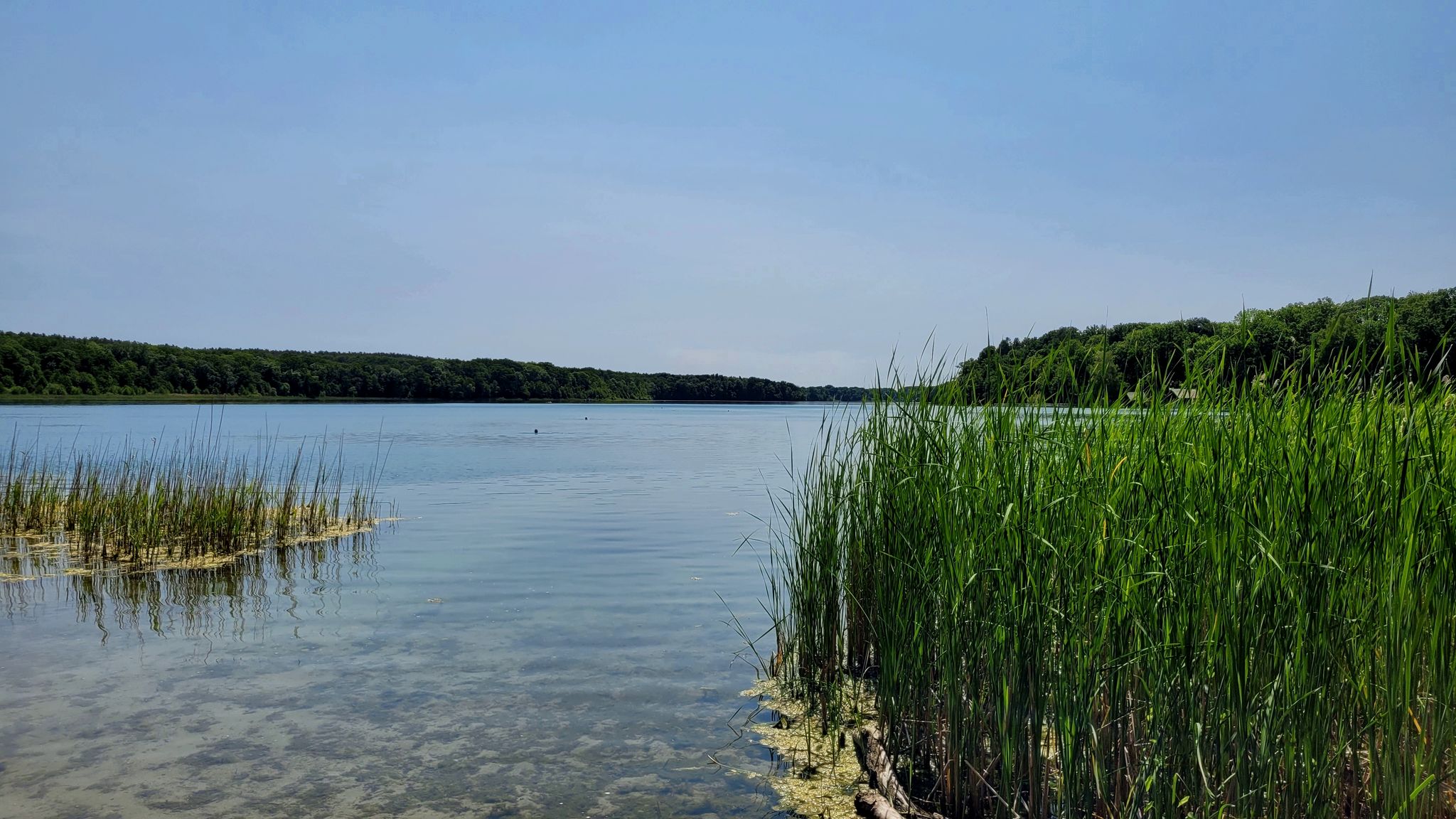 Sacrower See