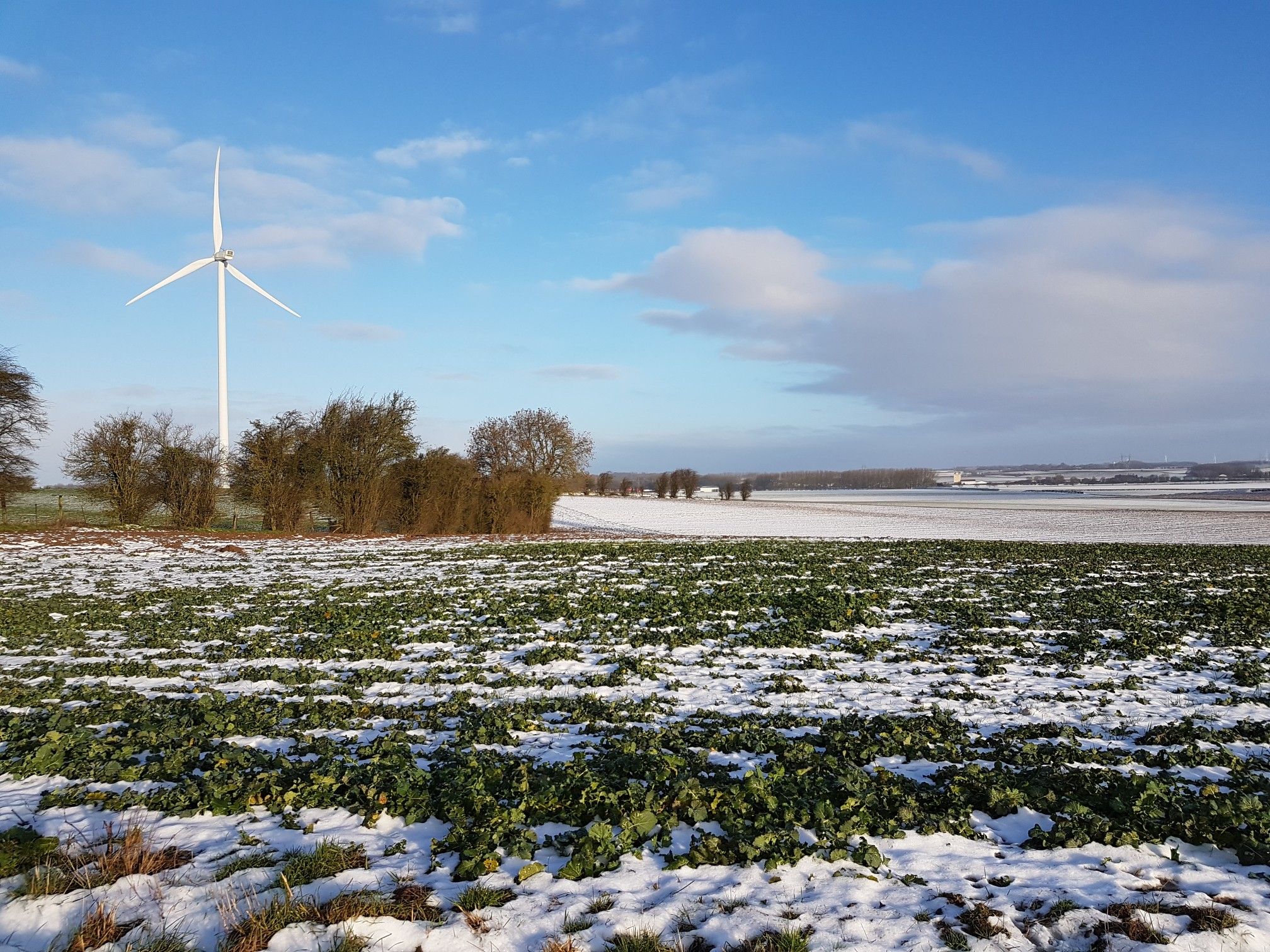 tincques sous la neige 