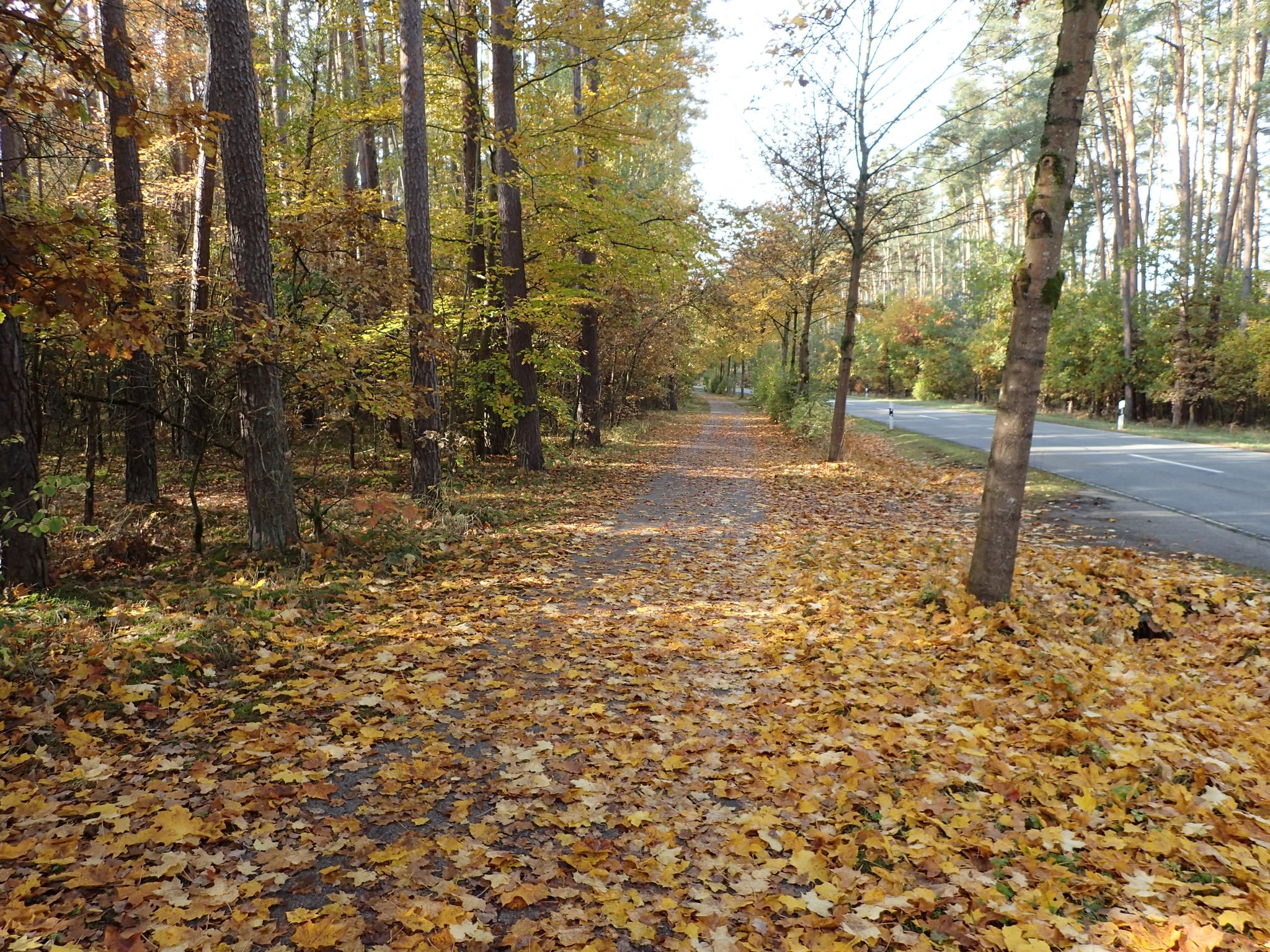 Herbst ... schöööön