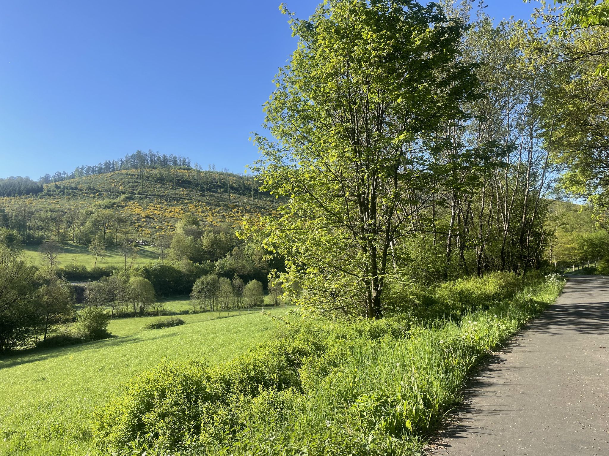 Radweg Herzhausen - Eckmannshausen