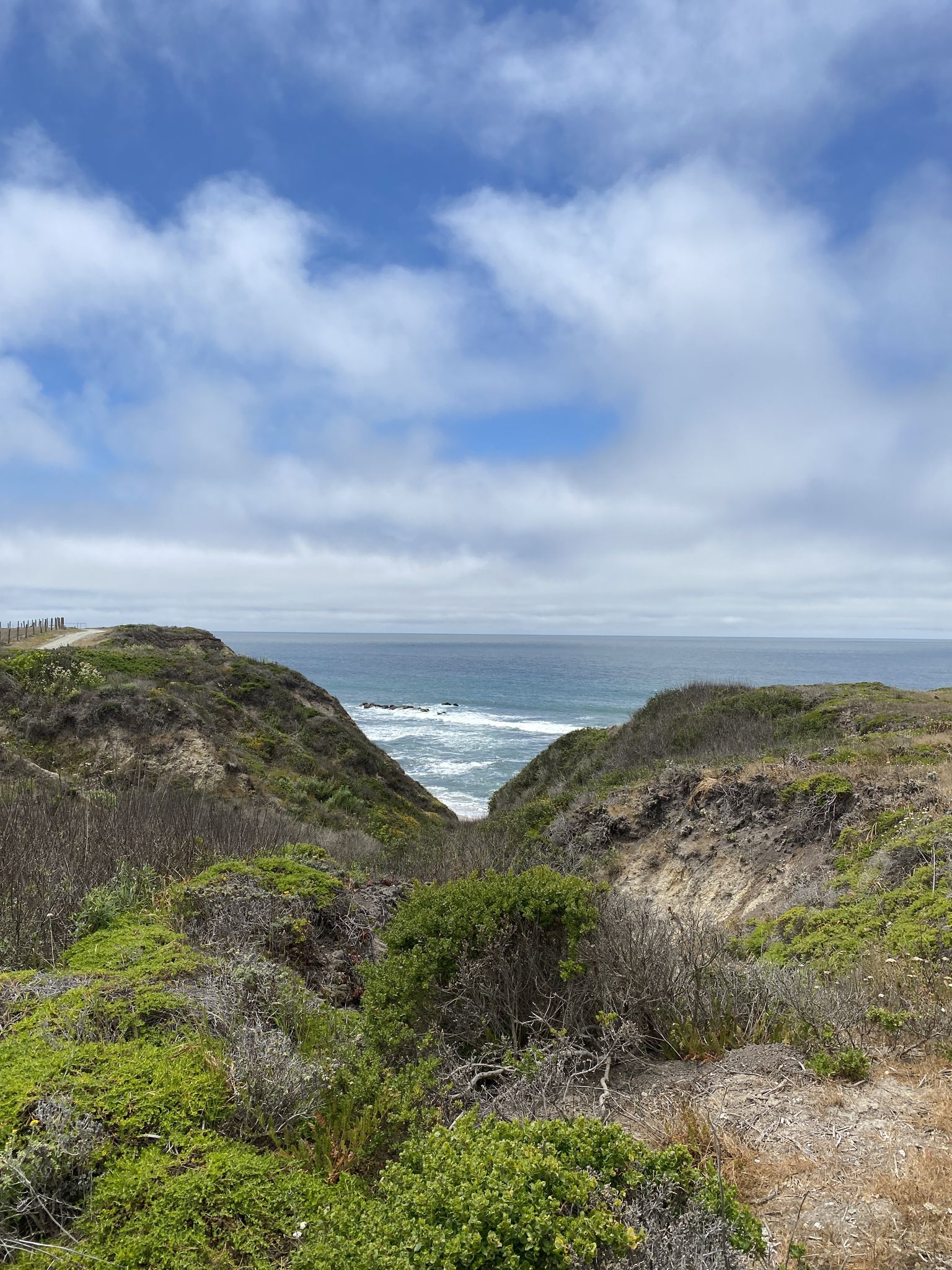Coastal view through green hills to the ocean under a partly cloudy sky. - Half Moon Bay State Beach loop from Johnston Ranch