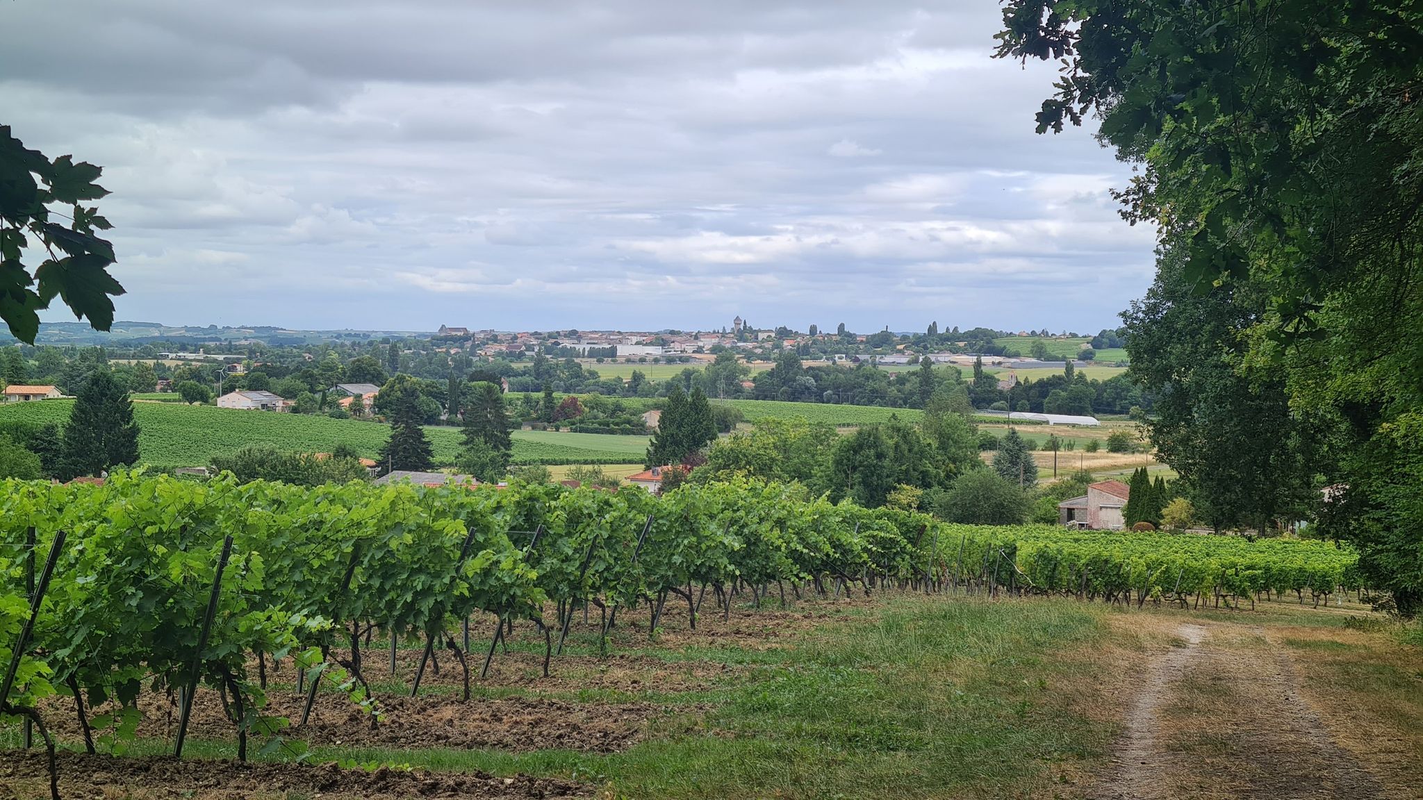 Vue sur Barbezieux-Saint-Hilaire