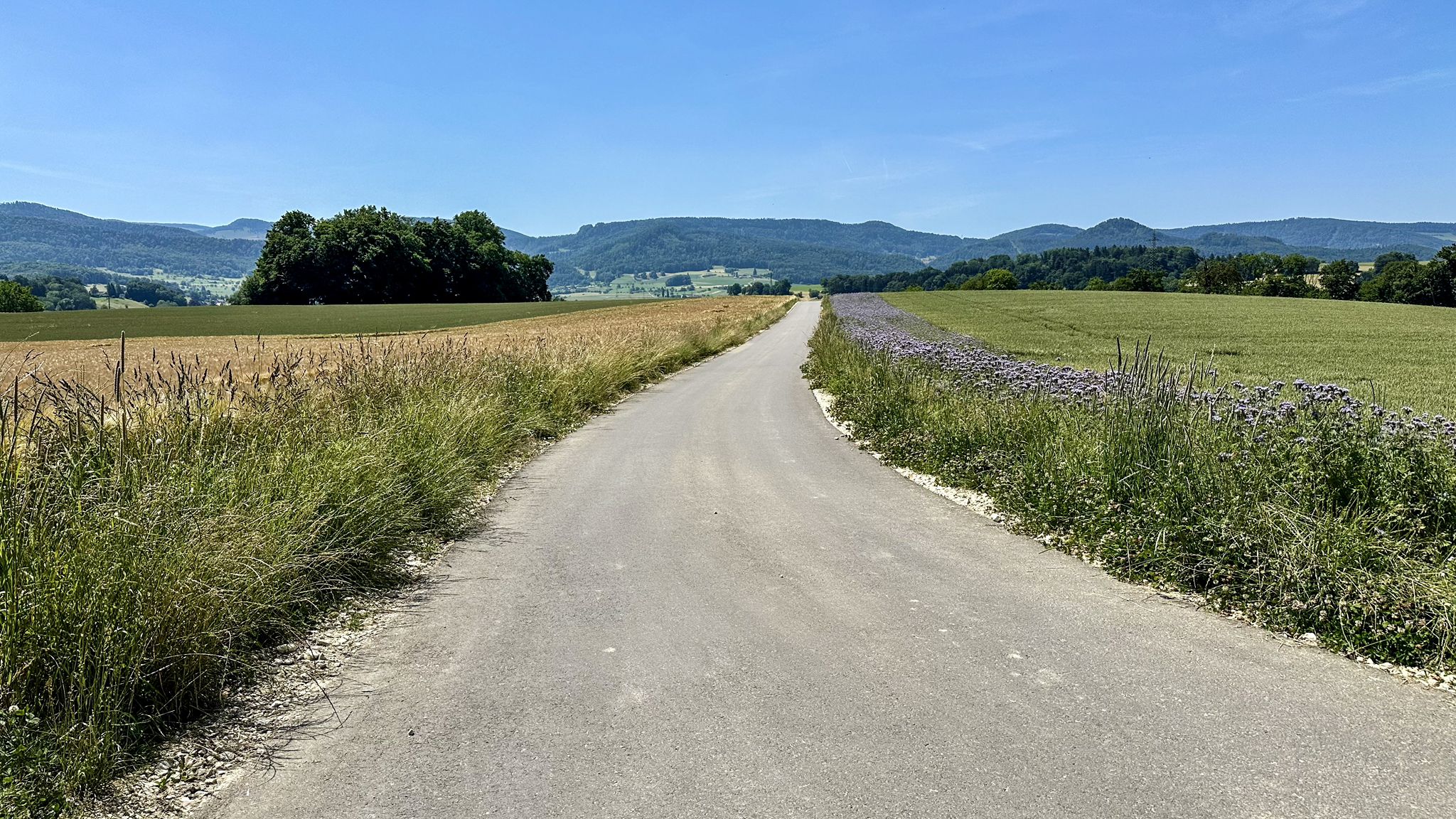 ...weiter zum nächsten Boxenstopp nach Nunningen...