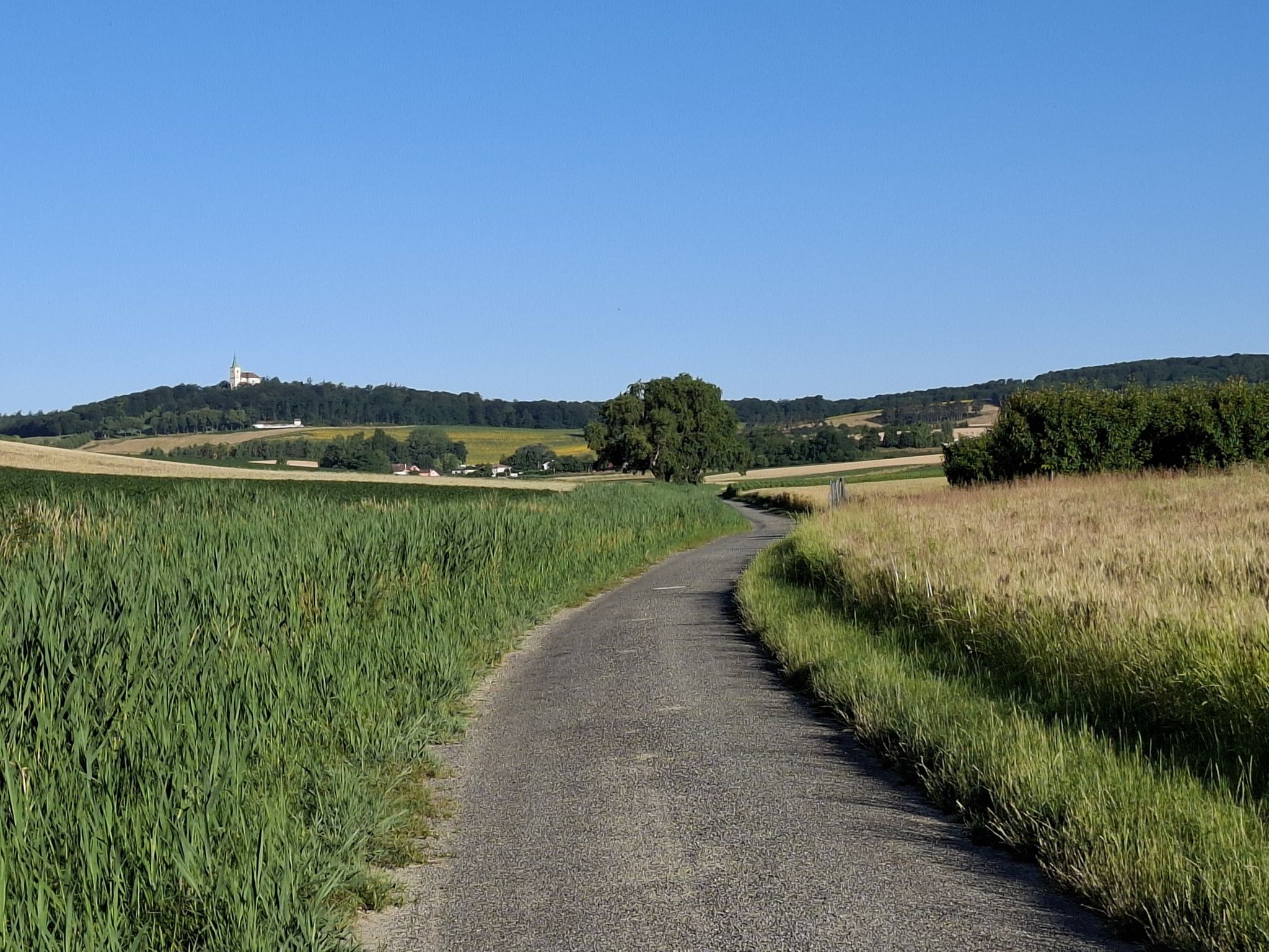 In Richtung Karnabrunn.