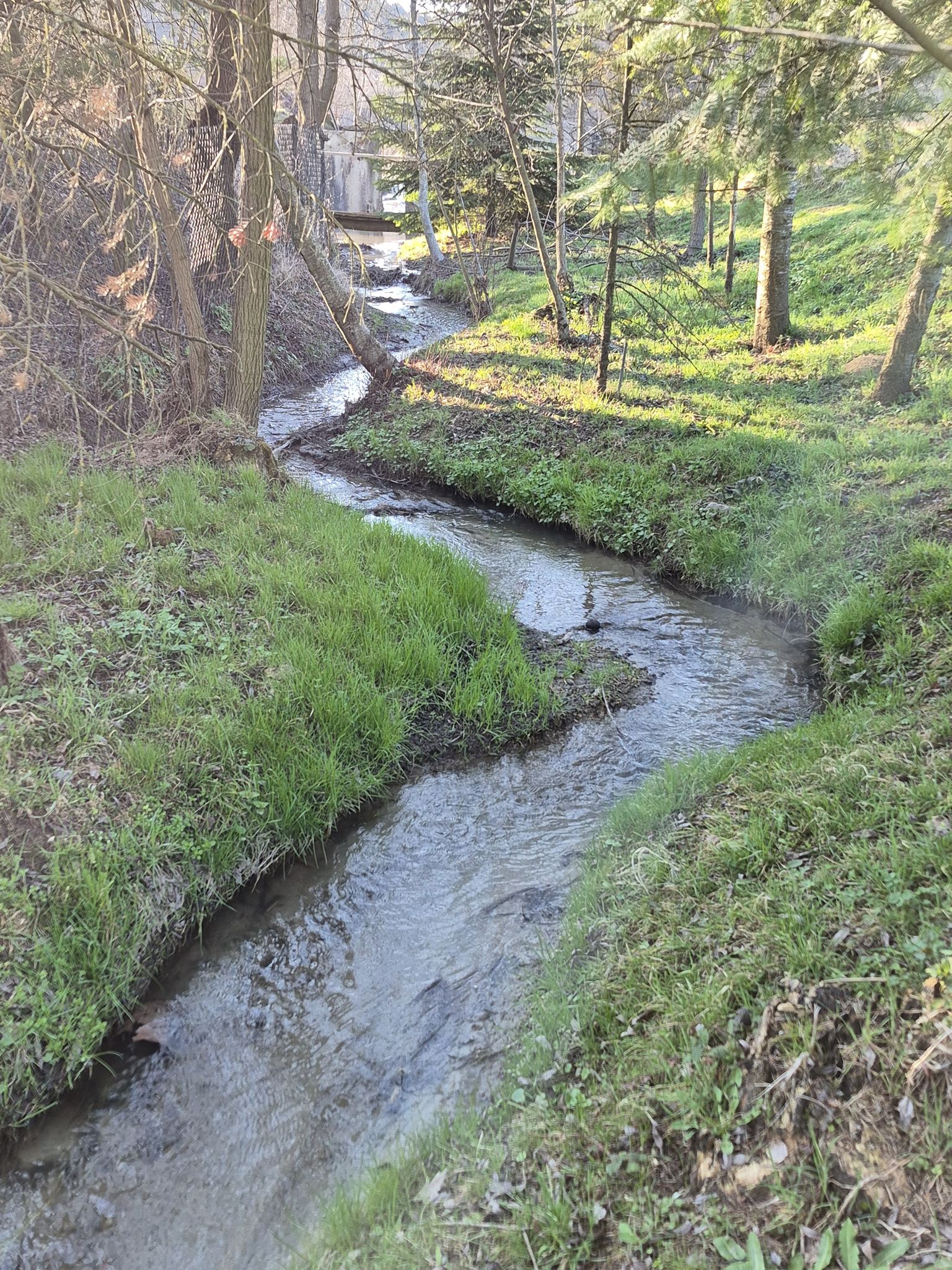 Dienbach