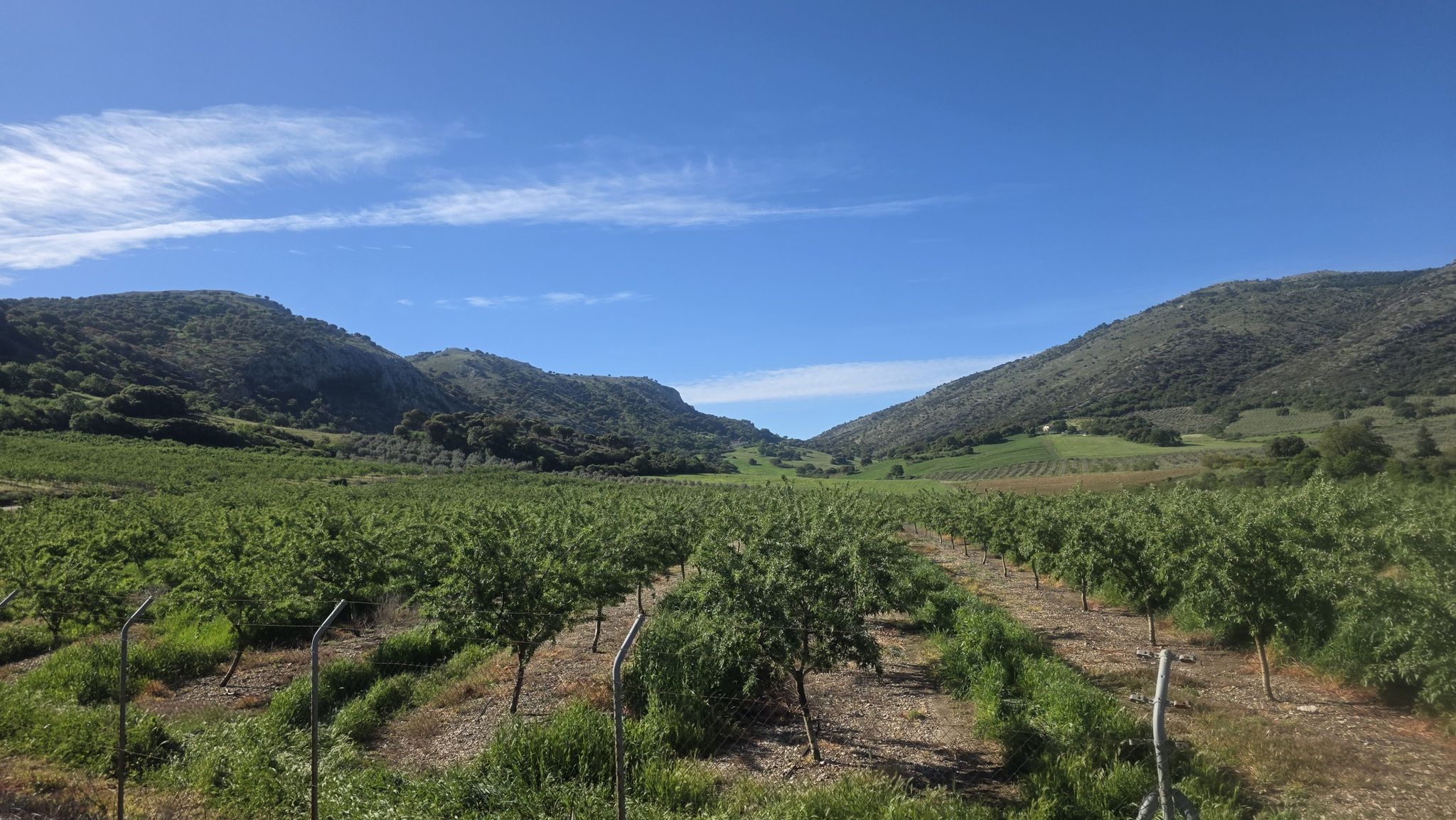 Auf dem Weg zum Puerto del Sol, 1.080m.