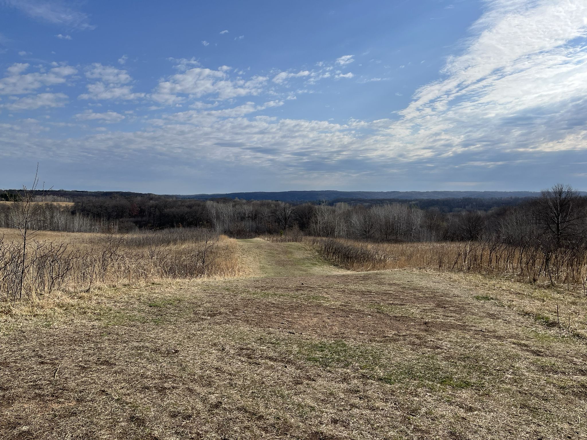A wide, grassy field slopes down towards distant dark woods. - Lake Alice loop from William O'Brien State Park