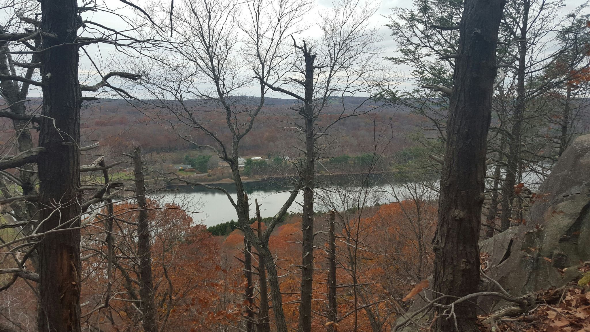 Overcast view of a lake through bare autumn trees and wooded hills. - Upper Regicides Trail Loop