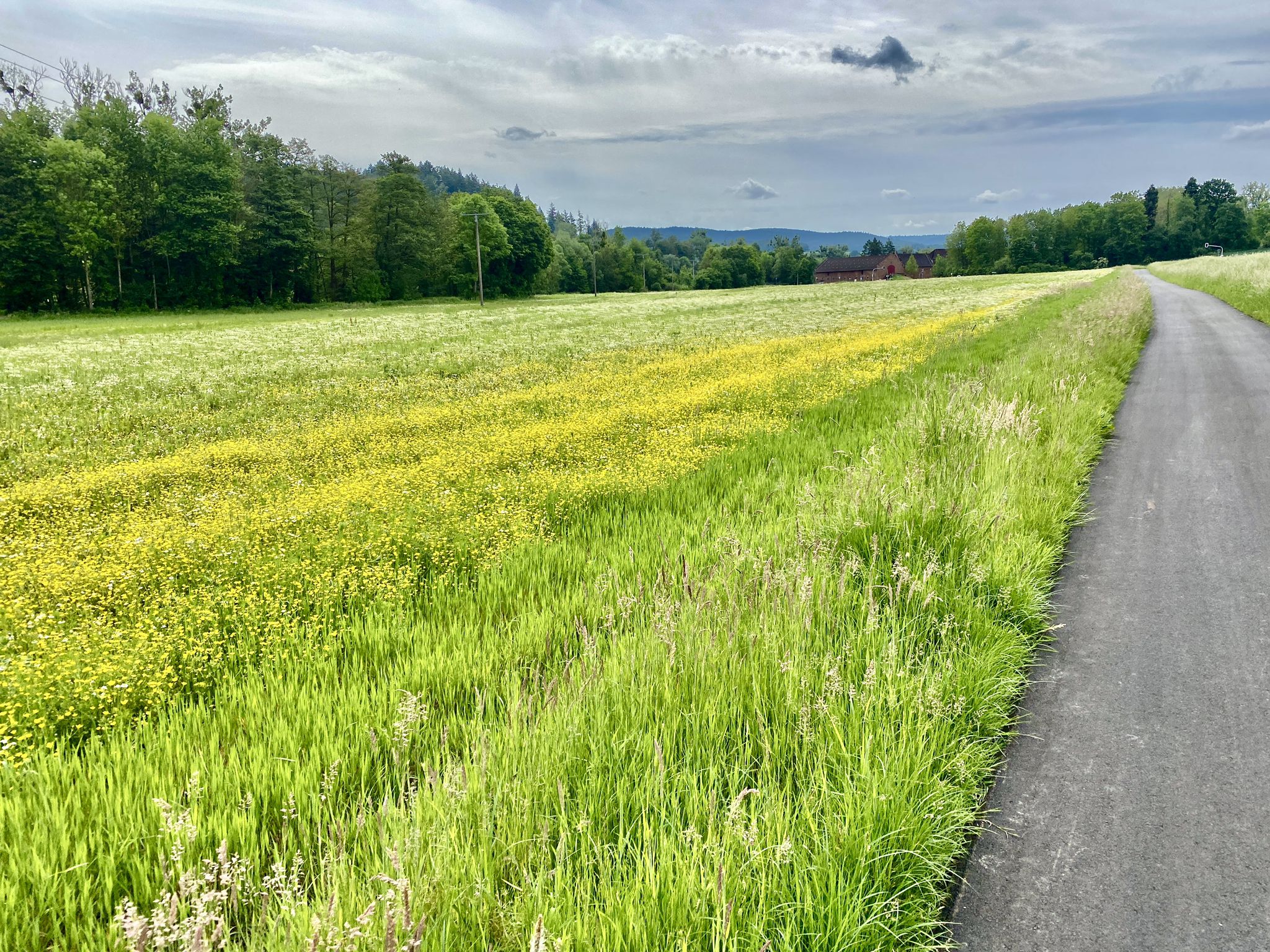 Radweg nach Keilberg