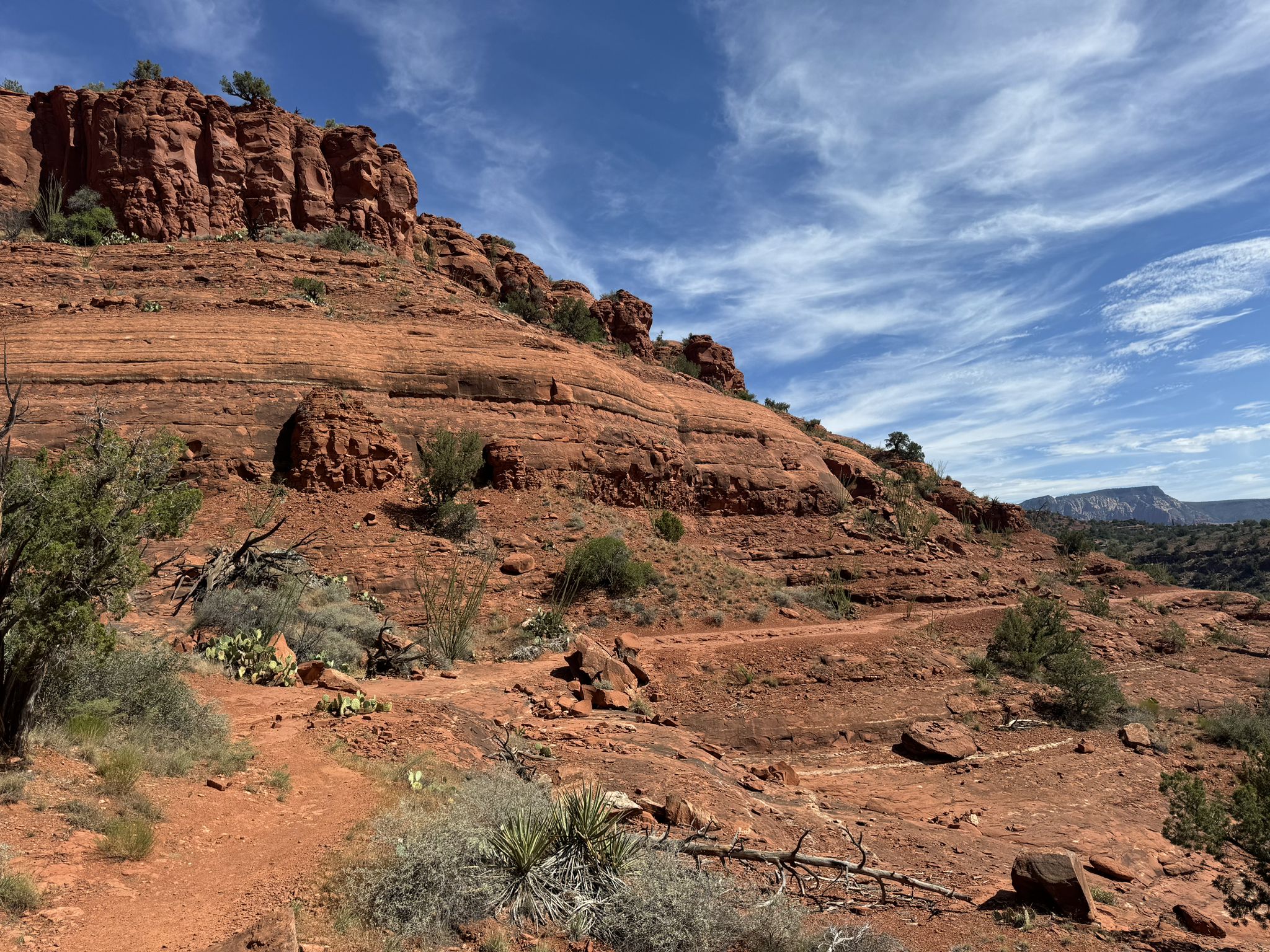 Red rock hillside with sparse green brush under a blue sky. - Cathedral Rock Mountain Bike Loop