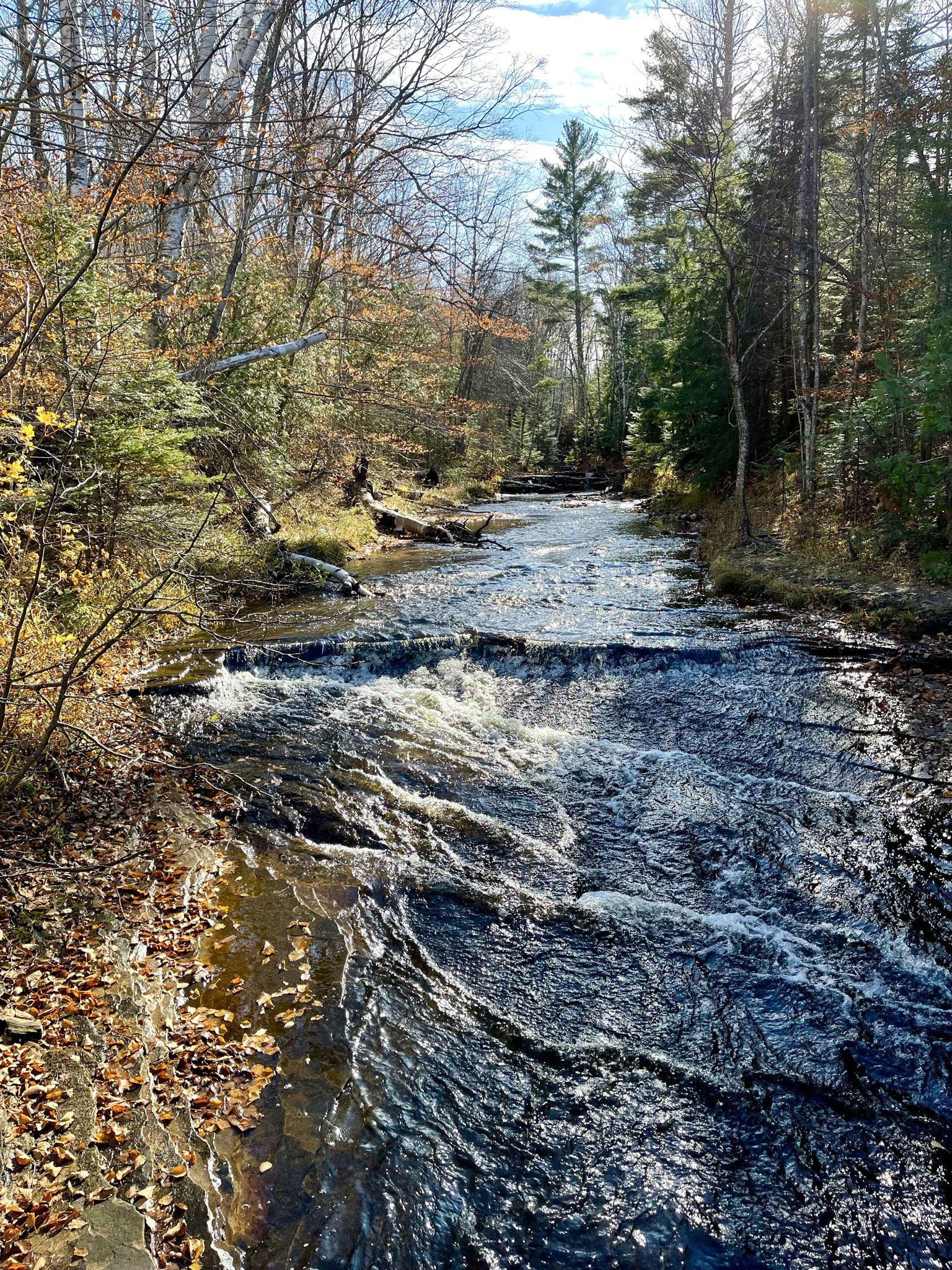 Sunlit forest stream with small rapids and autumn leaves on the banks. - Chapel Falls – Chapel Rock loop from Chapel / Mosquito