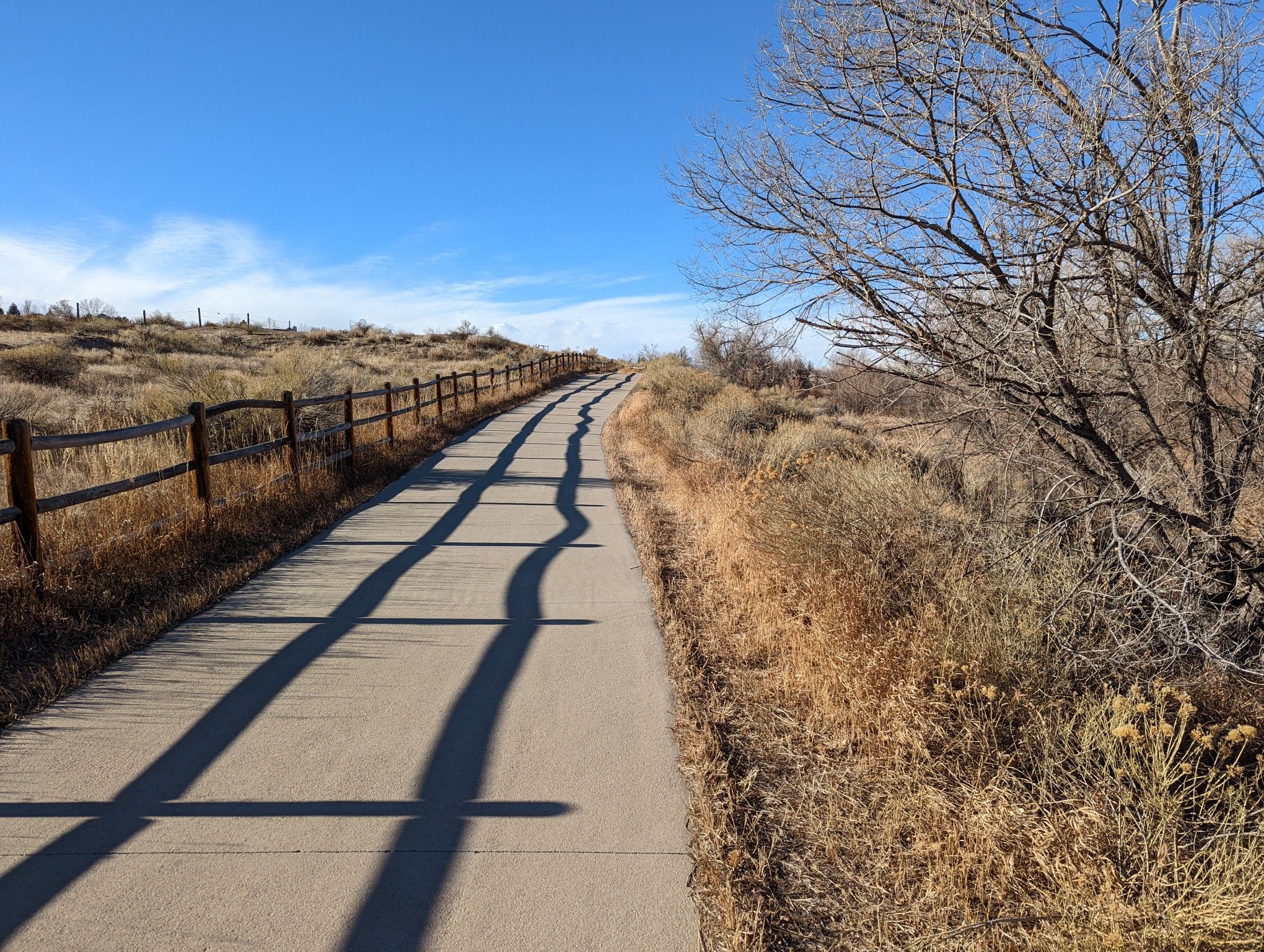 Sunny paved path winding through dry brush with a wooden fence and bare trees. - Poudre River Trail
