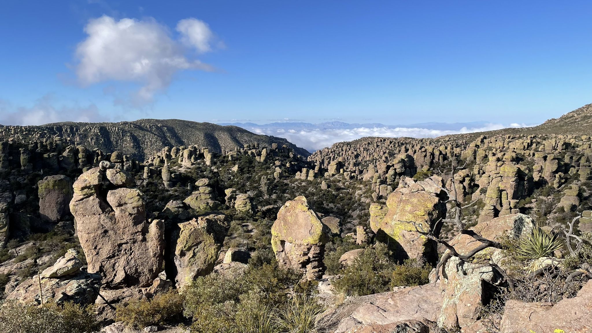 Expansive view of rock formations and a valley filled with clouds under blue sky. - Massai Point Nature Trail