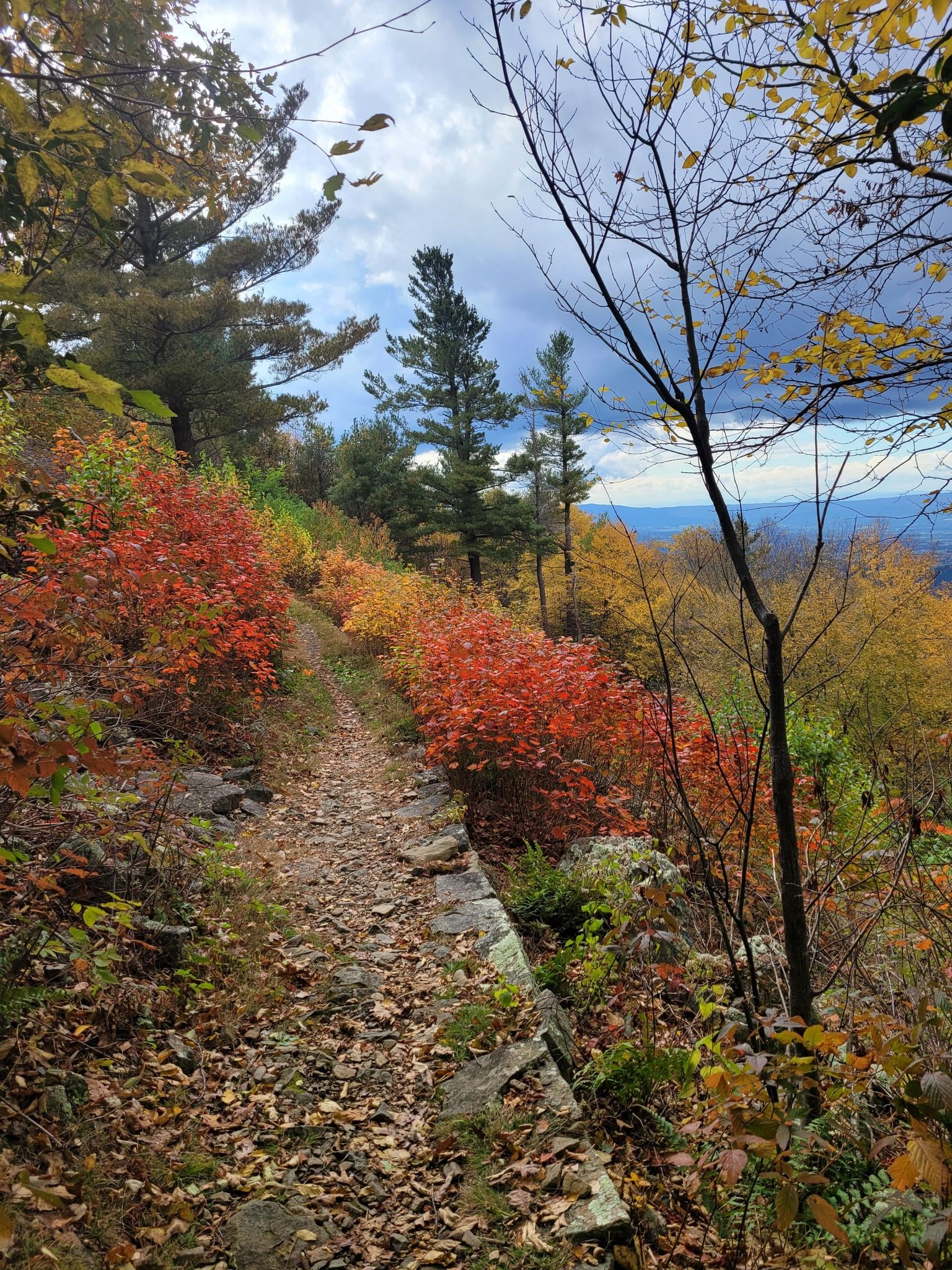 Forest path lined with vibrant red and orange autumn foliage. - Appalachian Trail: Shenandoah National Park