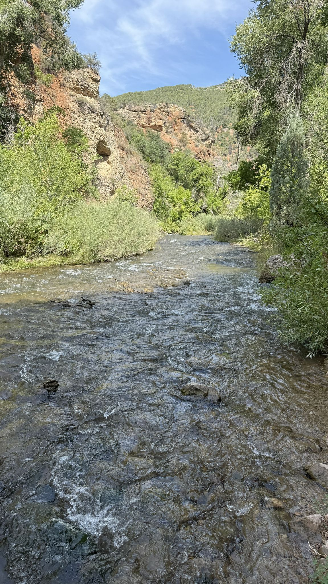 A clear river flows through a green, rocky canyon under a bright sky. - Fifth Water Hot Springs Trail