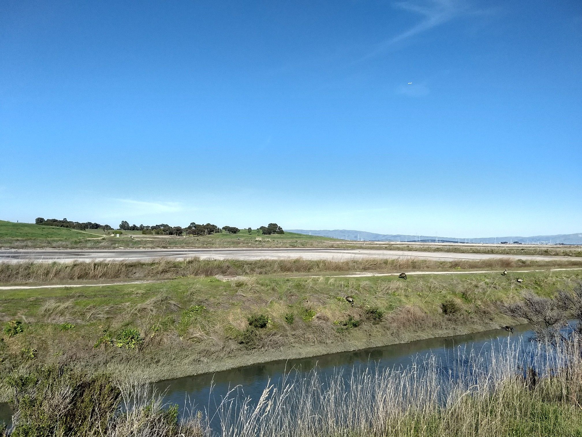 A narrow canal flows through grassy banks with distant rolling hills. - San Francisco Bay Trail – Bayfront Salt Marsh loop from East Palo Alto