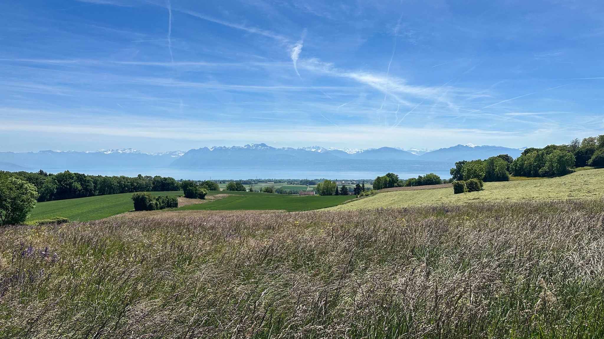 ...am Genfersee, also fast🤭...