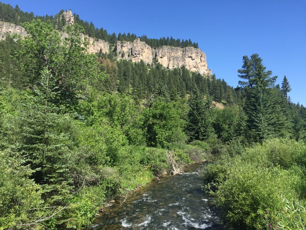 A clear river flows past lush green trees and towering rocky cliffs. - Spearfish Falls Trail