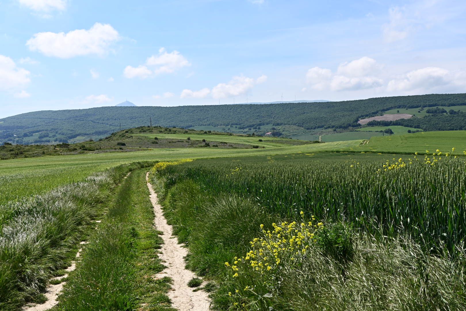 Camino de Euntzemear