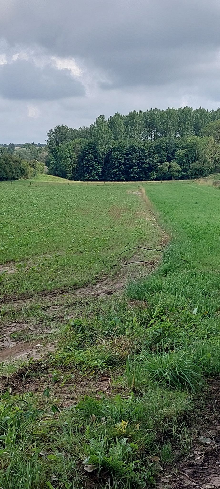 jolie vue