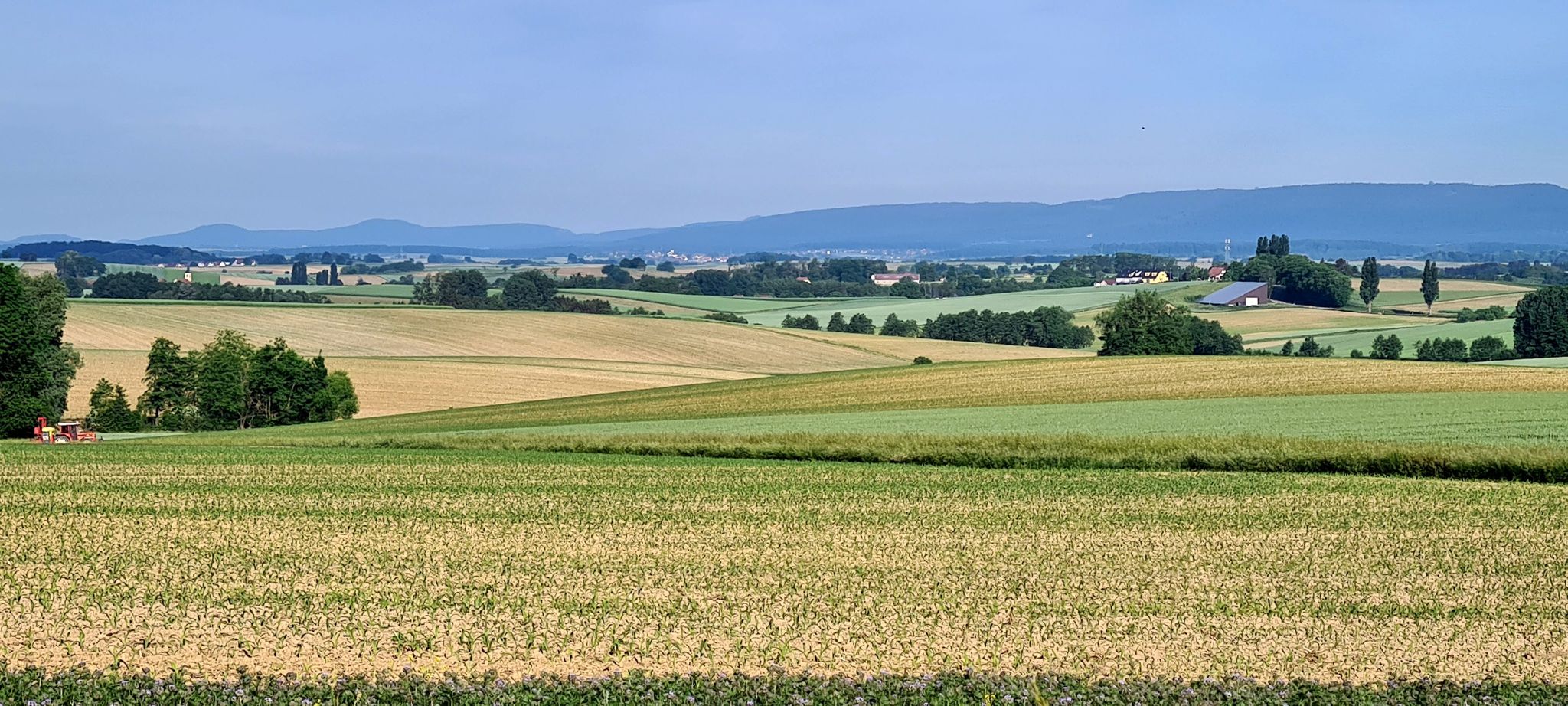 Das nördliche Elsass...Landschaft mit ruralem Charakter