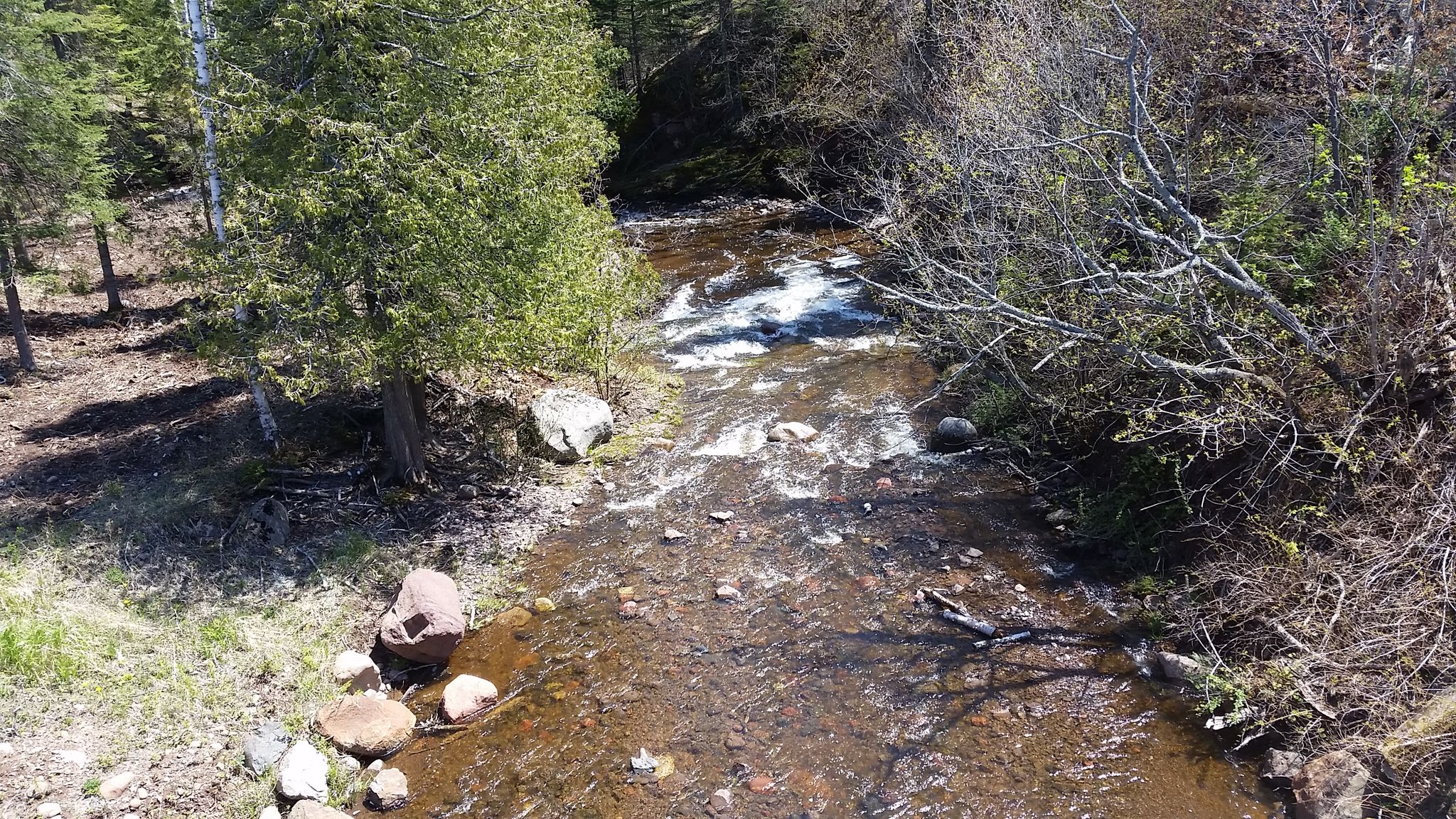 Sunny aerial view of a rocky stream flowing through a green forest. - Caribou Falls via North Star Bicycle Route