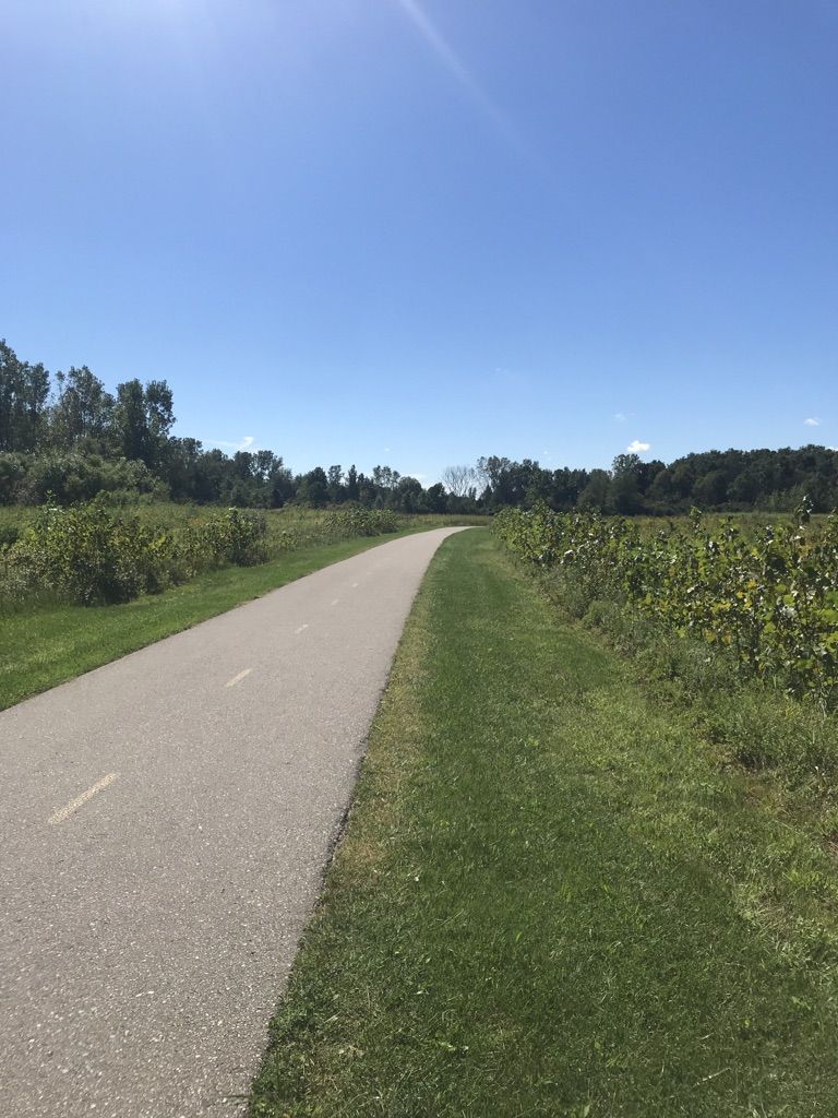 Sunny paved path curves through green fields with distant trees. - Huroc Park loop from Willow