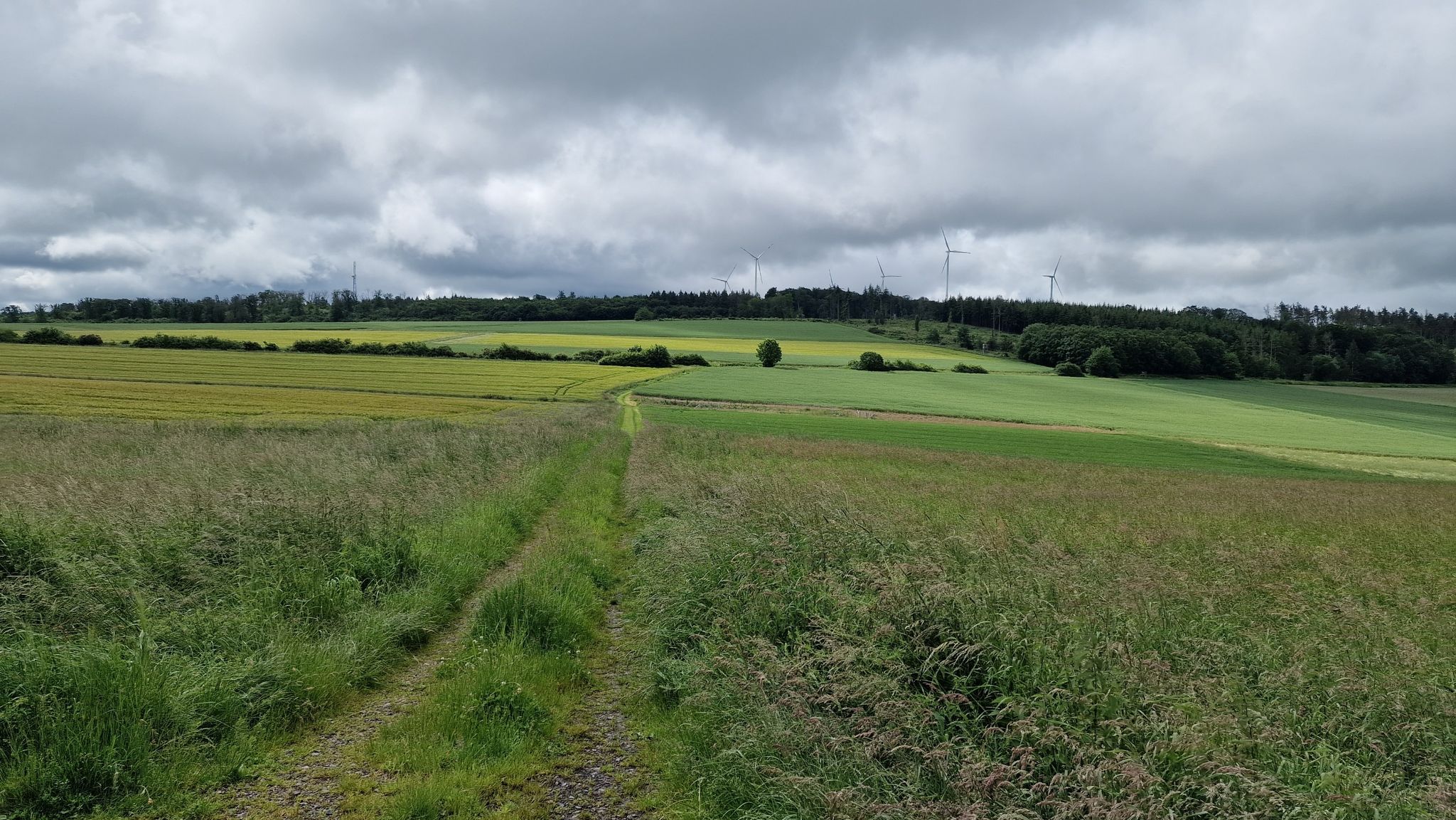 Wege durch die Wiesen sind bei Trockenheit eine schöne Verbesserung der Tour