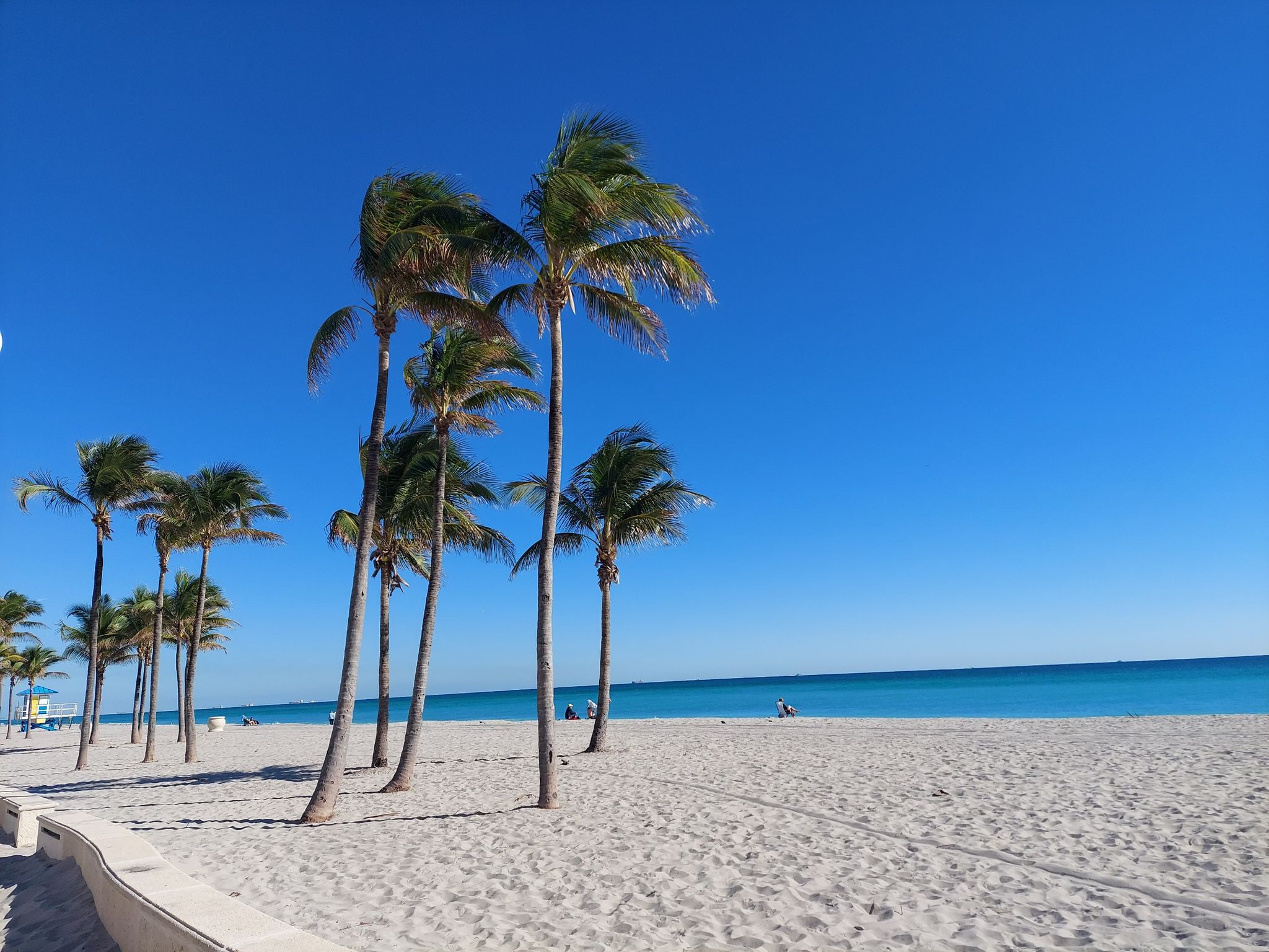 Bright sunny beach with palm trees, clear blue ocean, and sky. - Hollywood Boardwalk