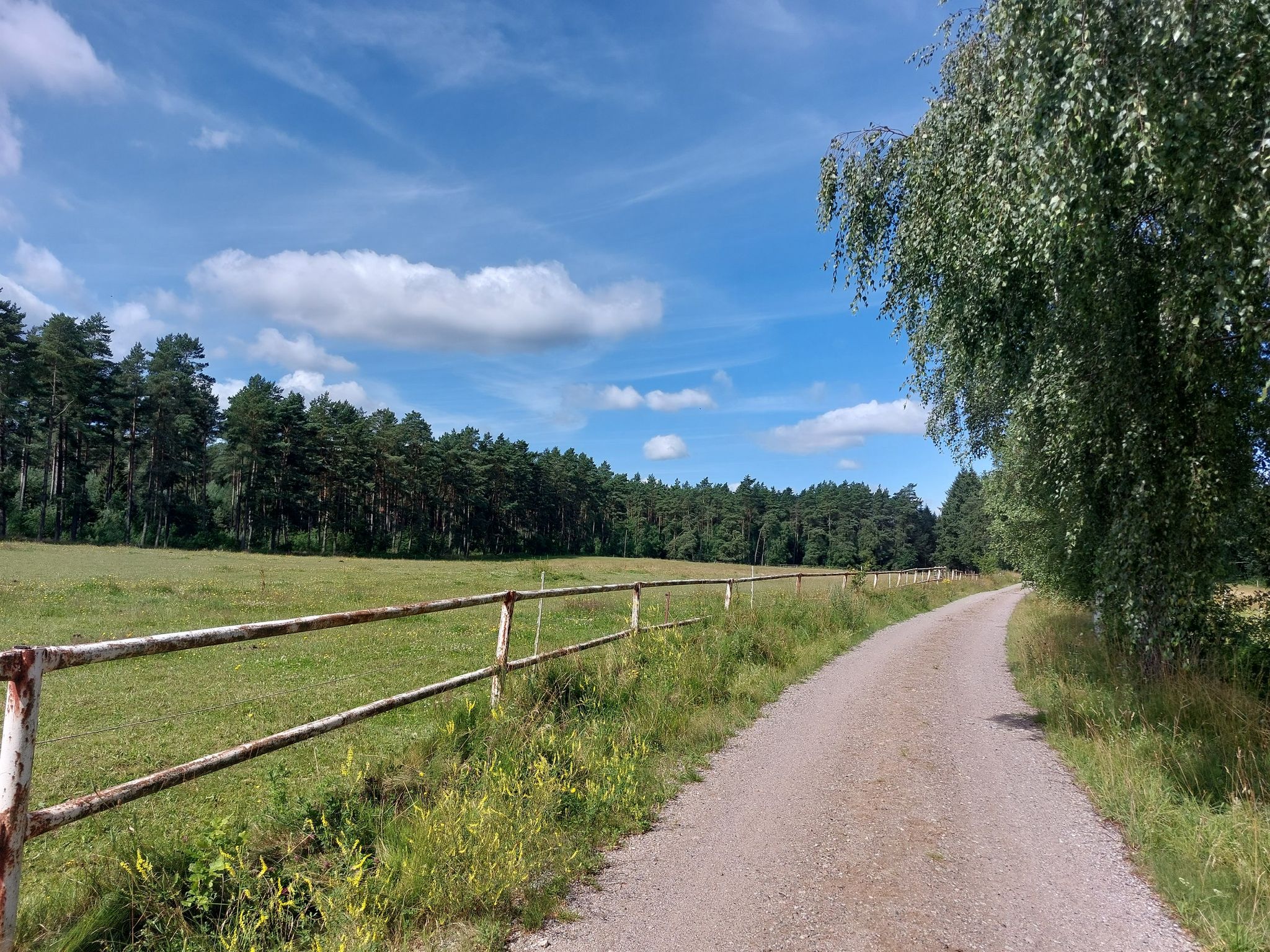 an der koppel entlang