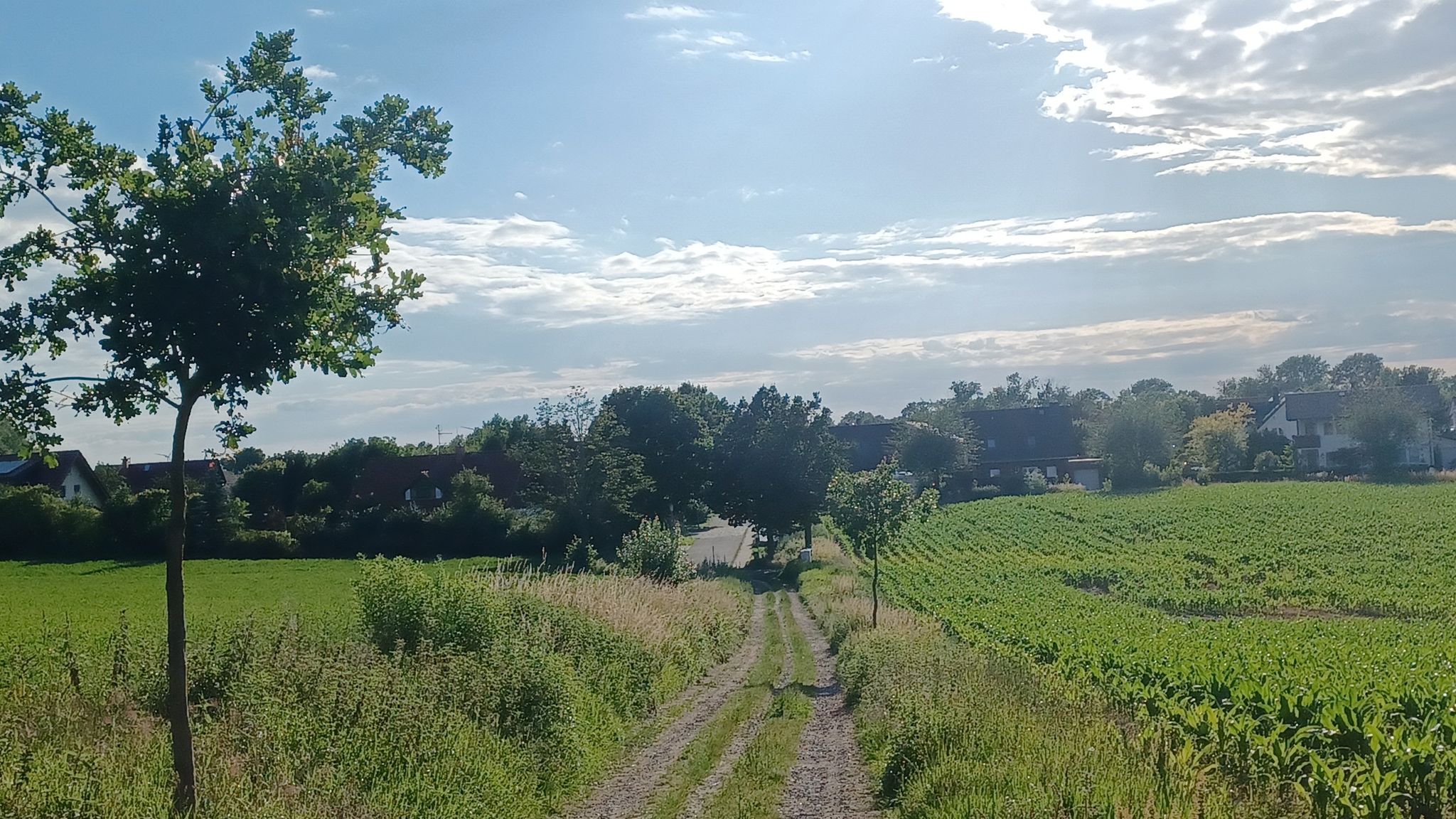 zurück in der Zivilisation😉